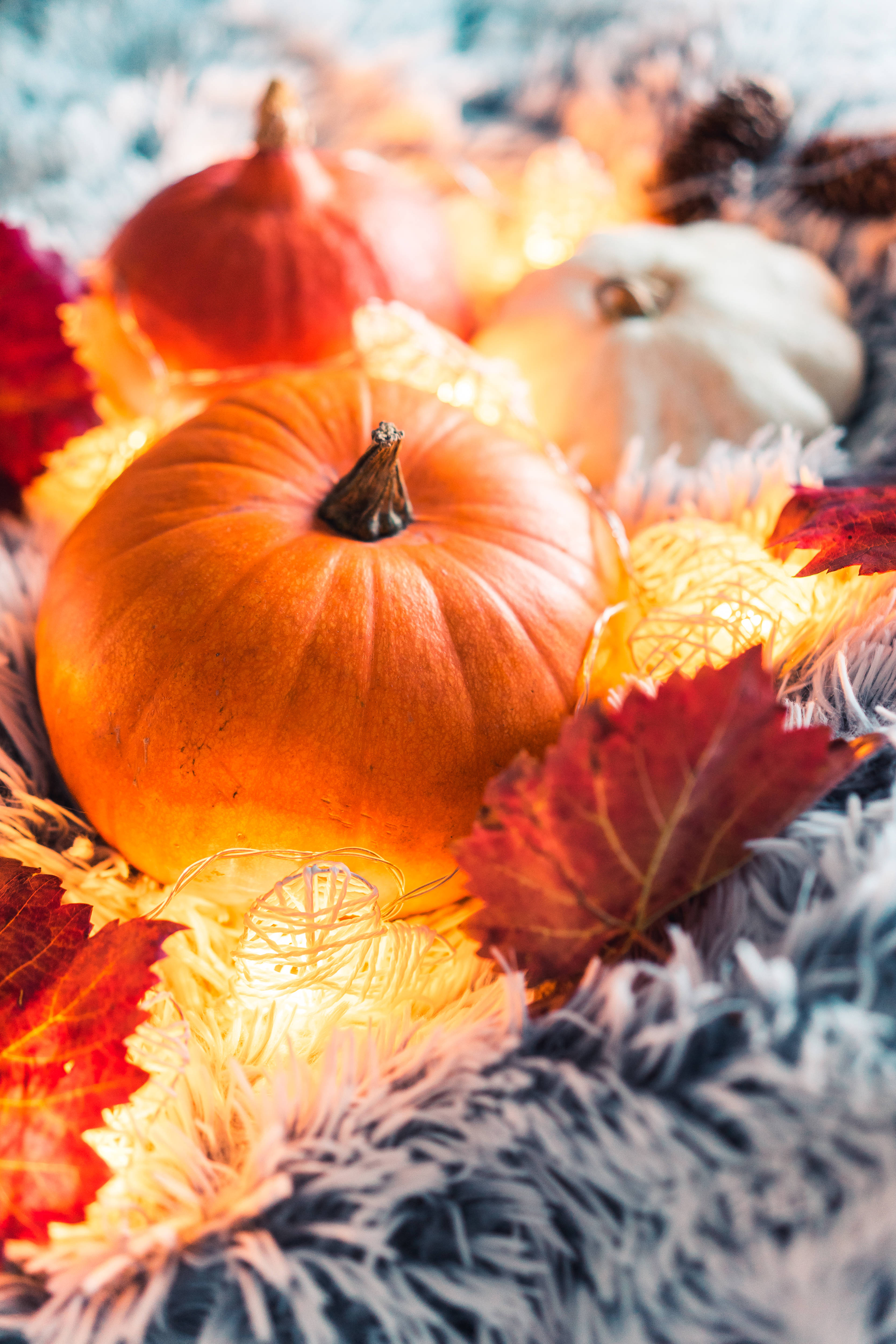 Halloween iPhone, pumpkin, glowing fairy lights, 4K Phone Wallpaper