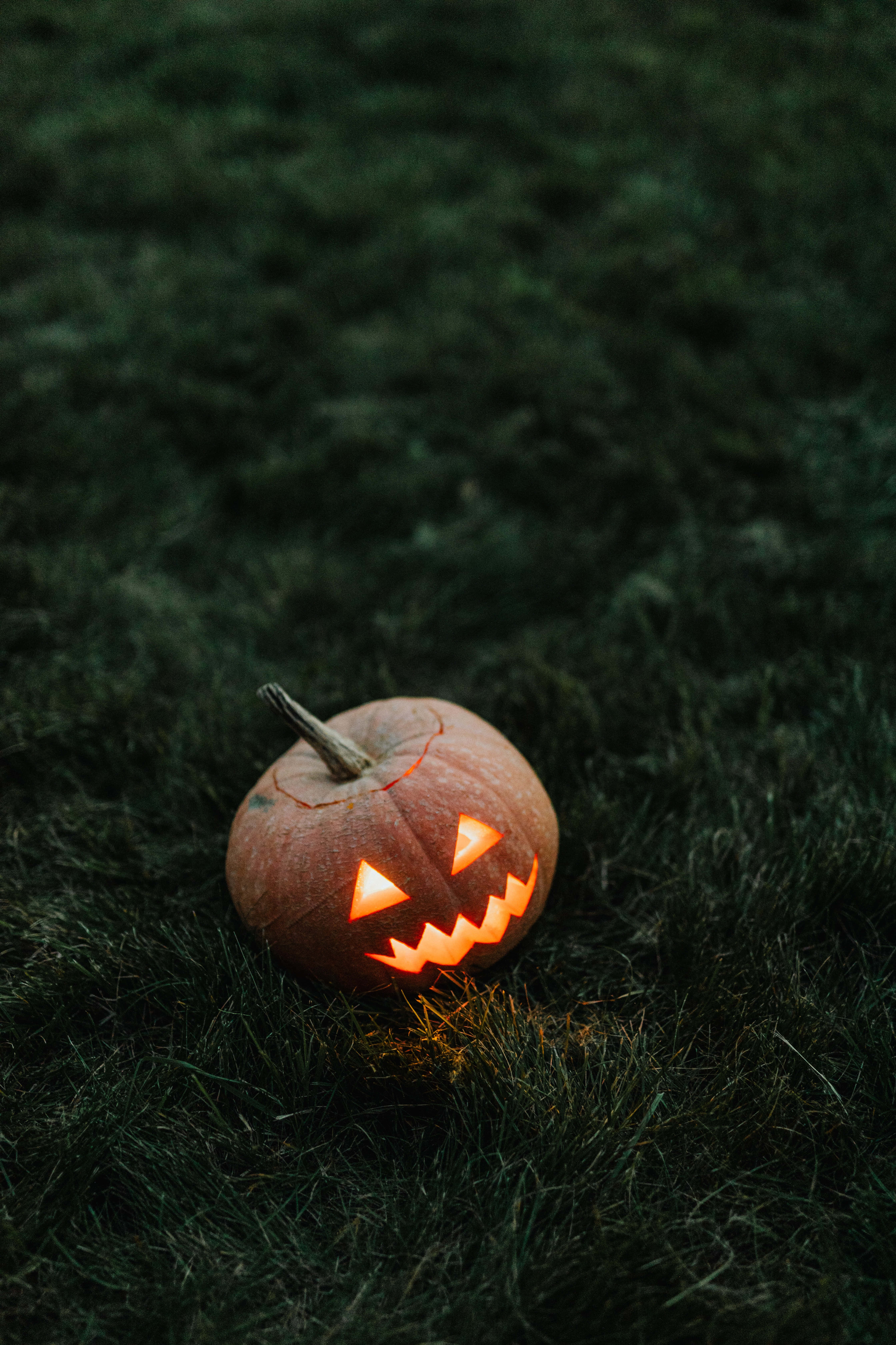 Halloween, jack-o'-lantern, grasses, 5K Phone Wallpaper