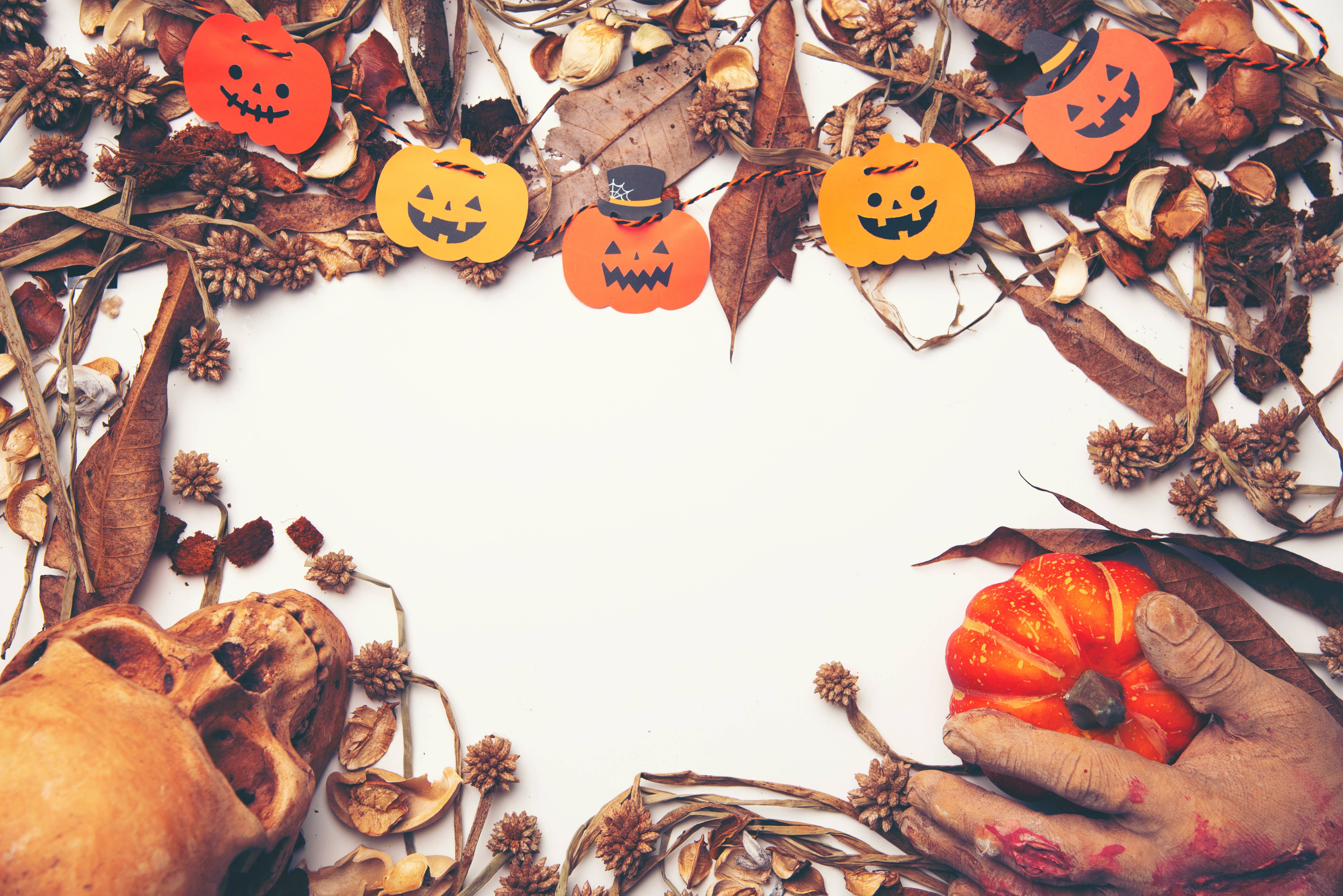 Halloween, dried leaves, pinecones, 5K Desktop Wallpaper