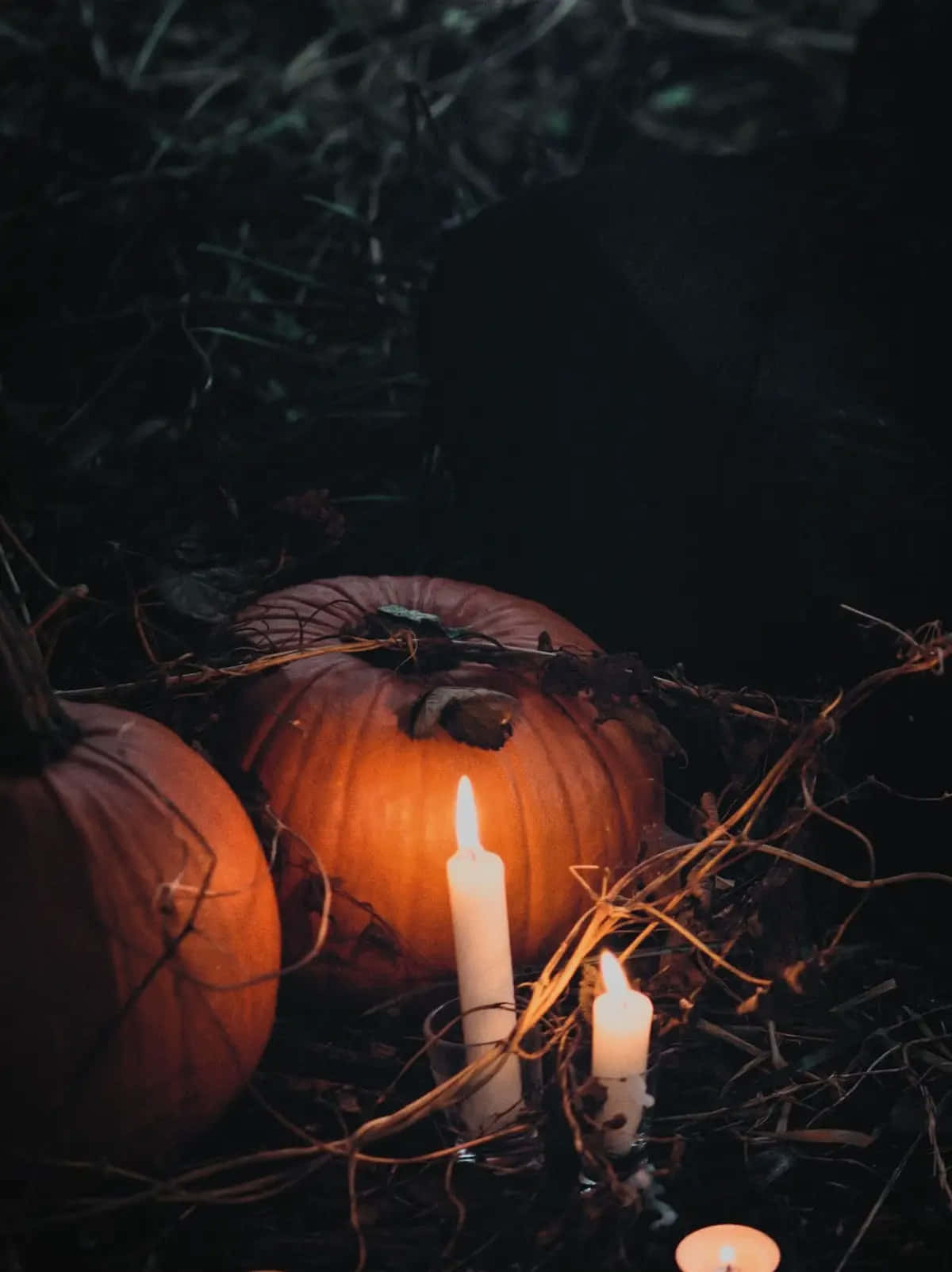Halloween, pumpkins, candles, HD Phone Wallpaper