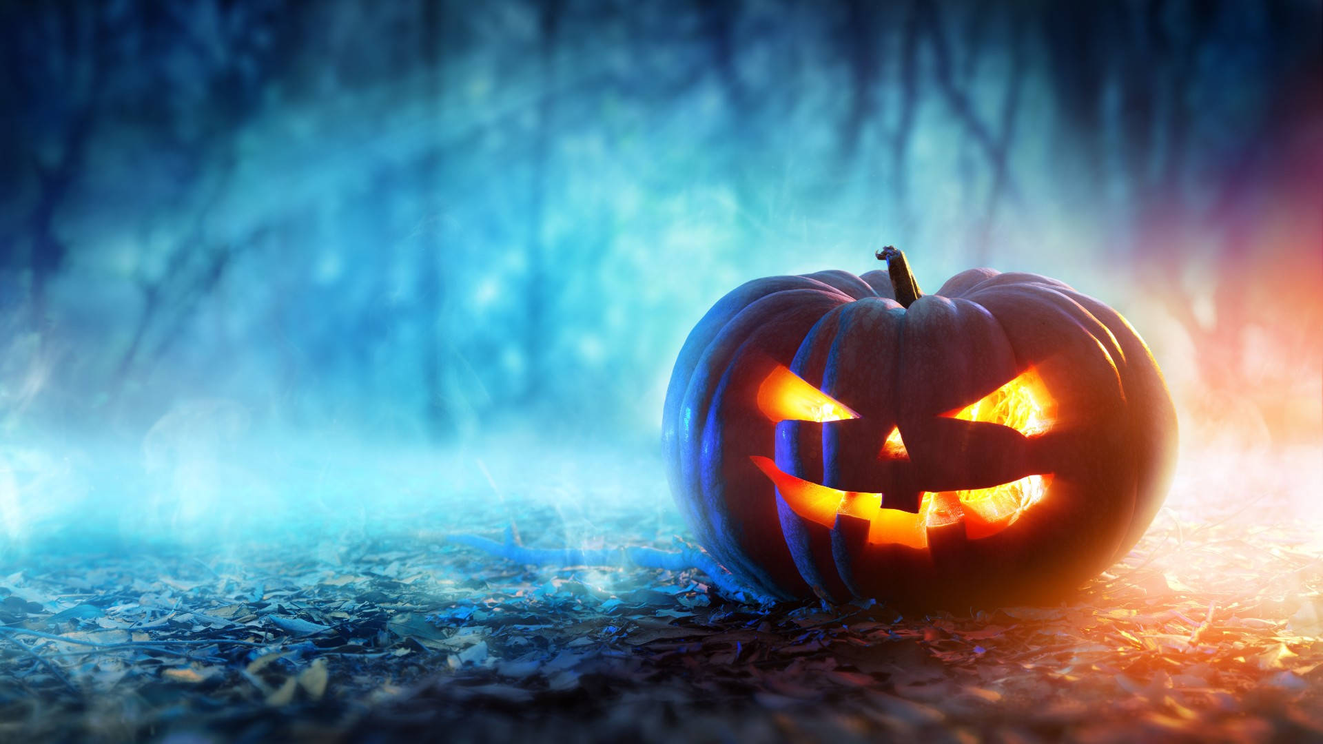 jack-o'-lantern, misty forest, eerie blue and orange light, Full HD Desktop Wallpaper