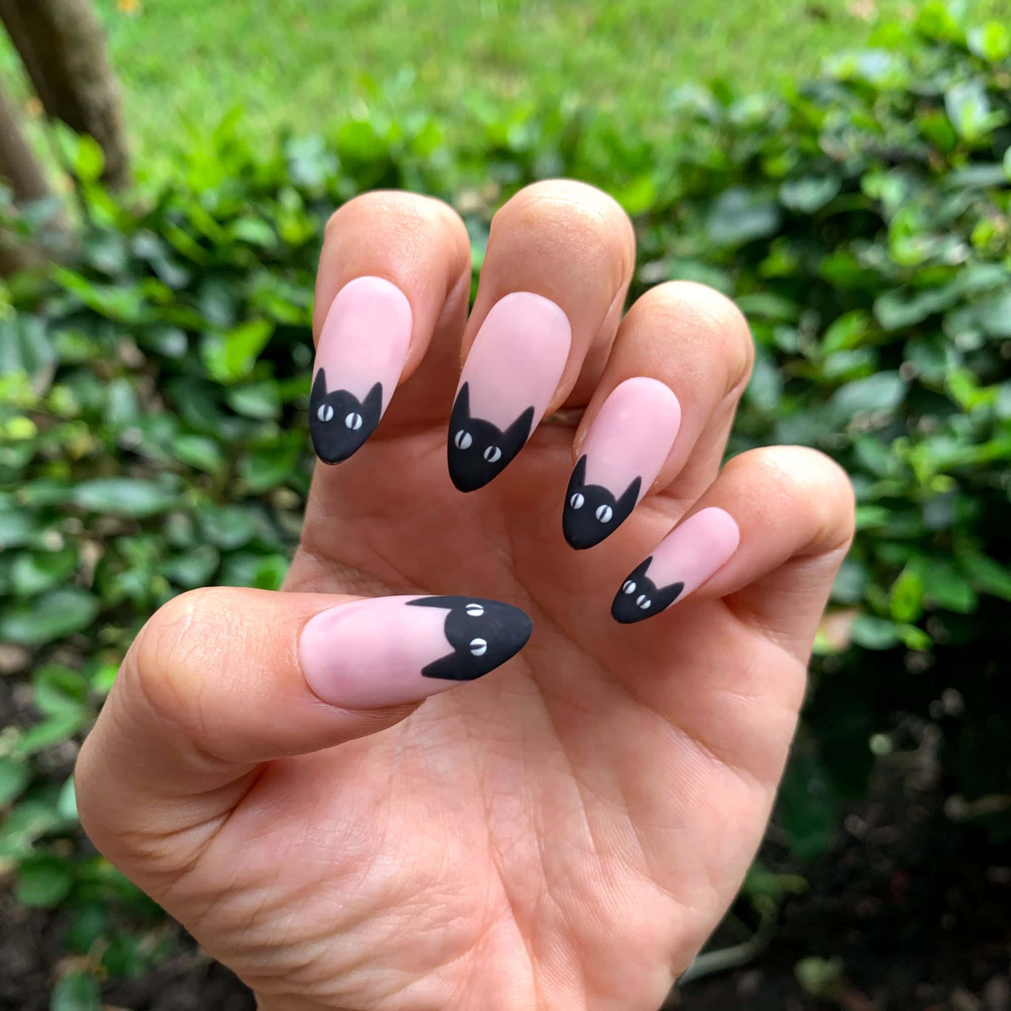 Halloween Nail Art, pink nails, black cat face design, Full HD Desktop Wallpaper