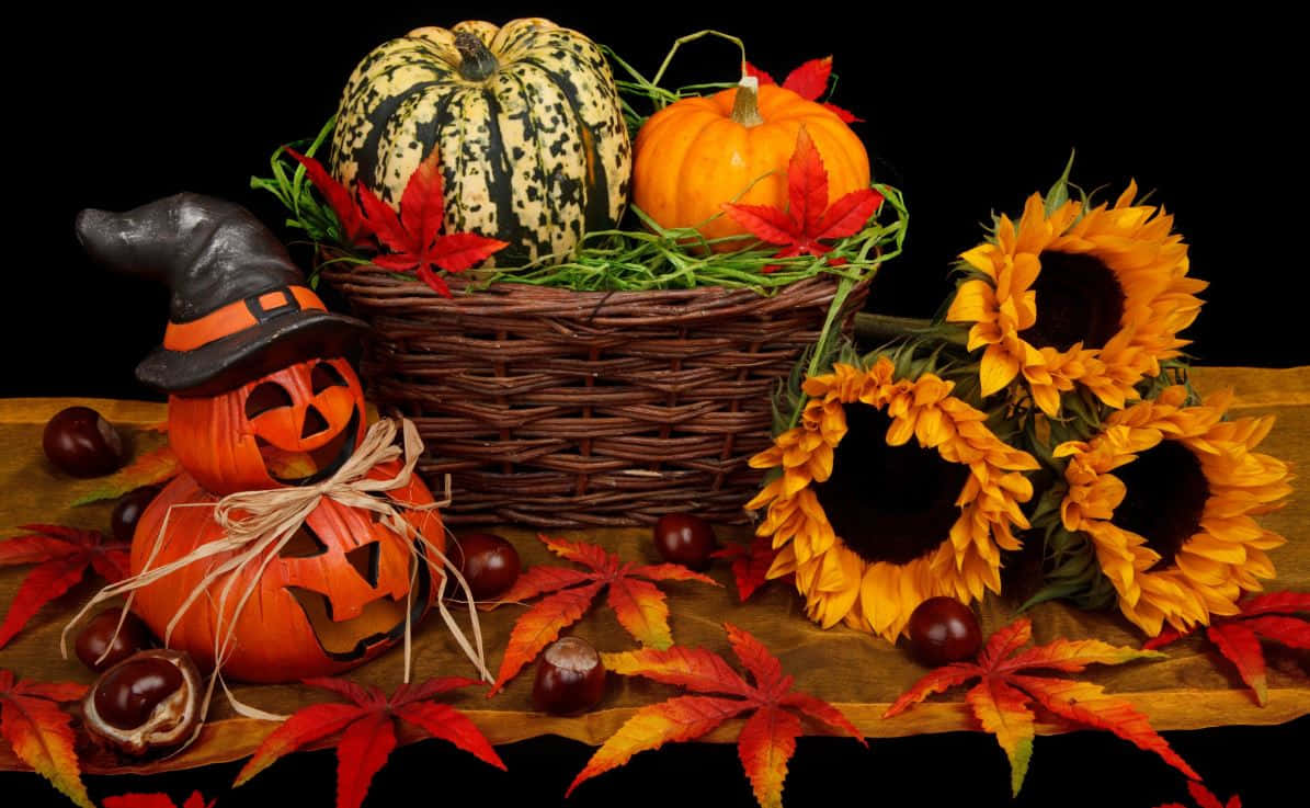 Halloween Props, pumpkins, sunflowers, SD Desktop Wallpaper