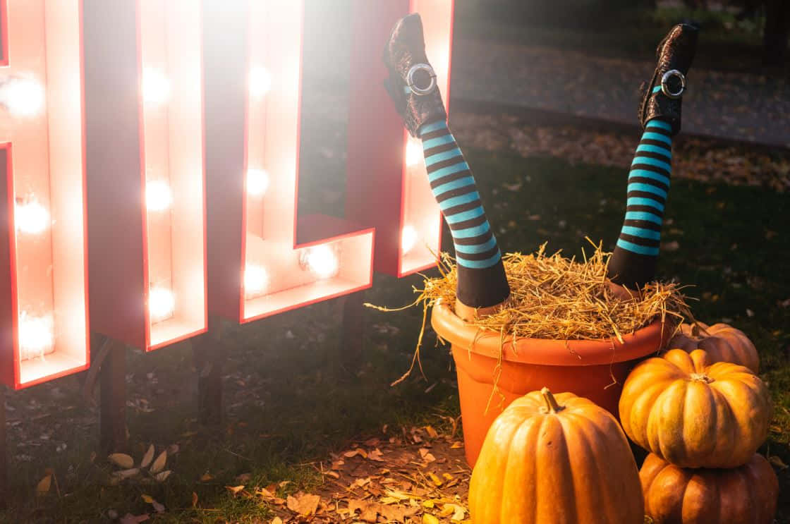 Halloween Props, witch's legs, striped stockings, SD Desktop Wallpaper