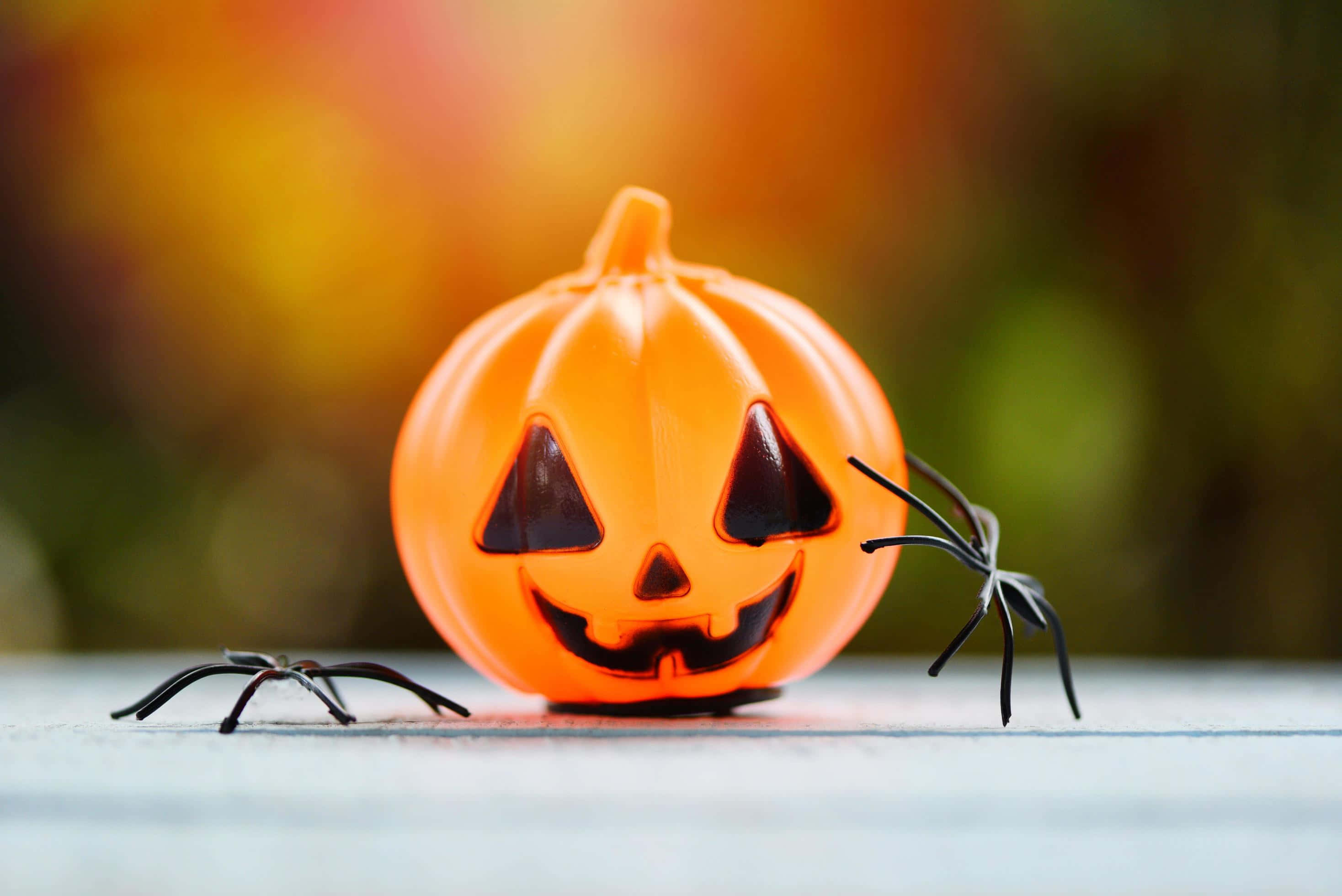jack-o'-lantern, plastic, carved grin, 2K Desktop Wallpaper