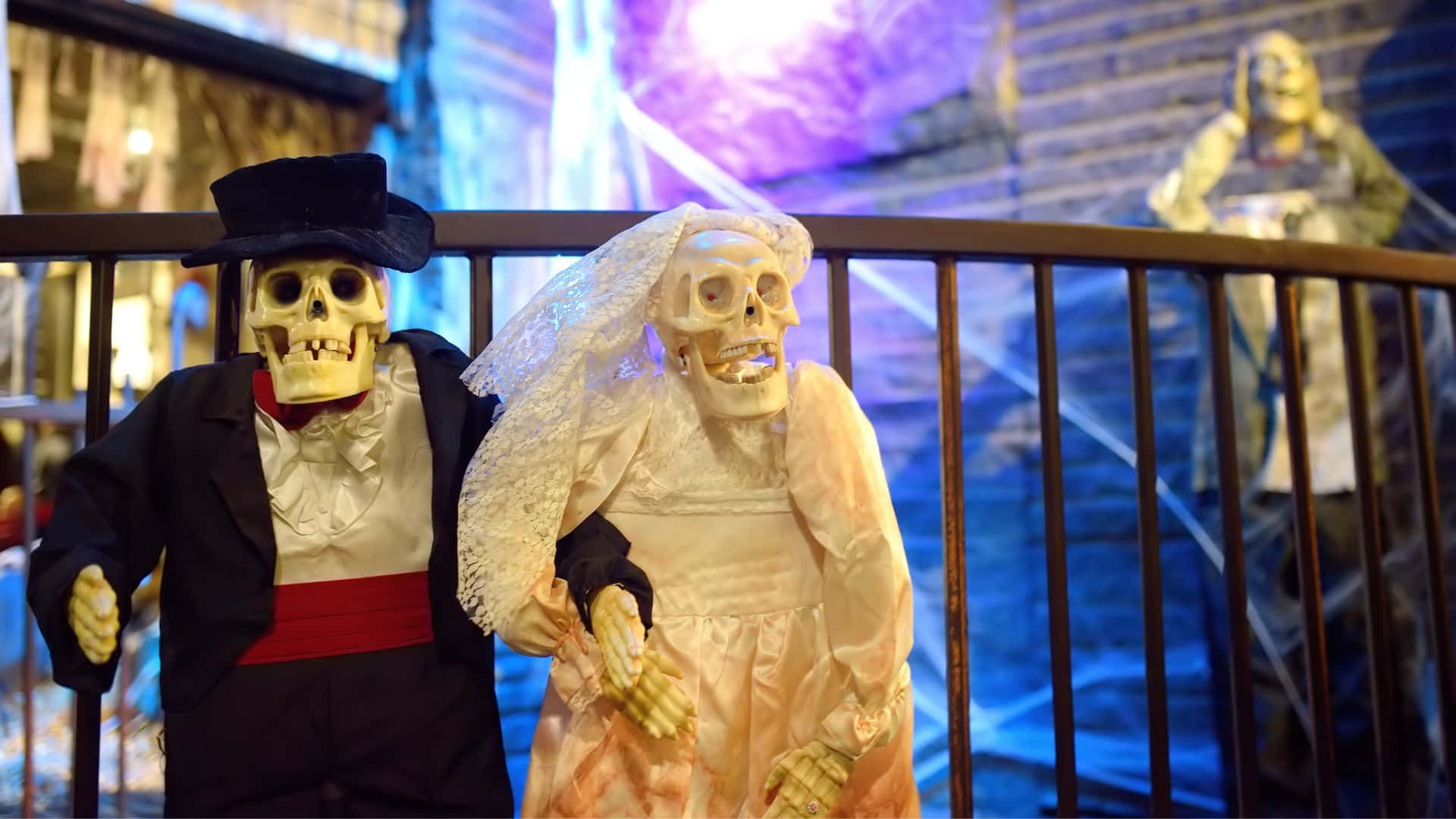 skeleton costumes, wedding attire, colorful stage lights, Full HD Desktop Wallpaper