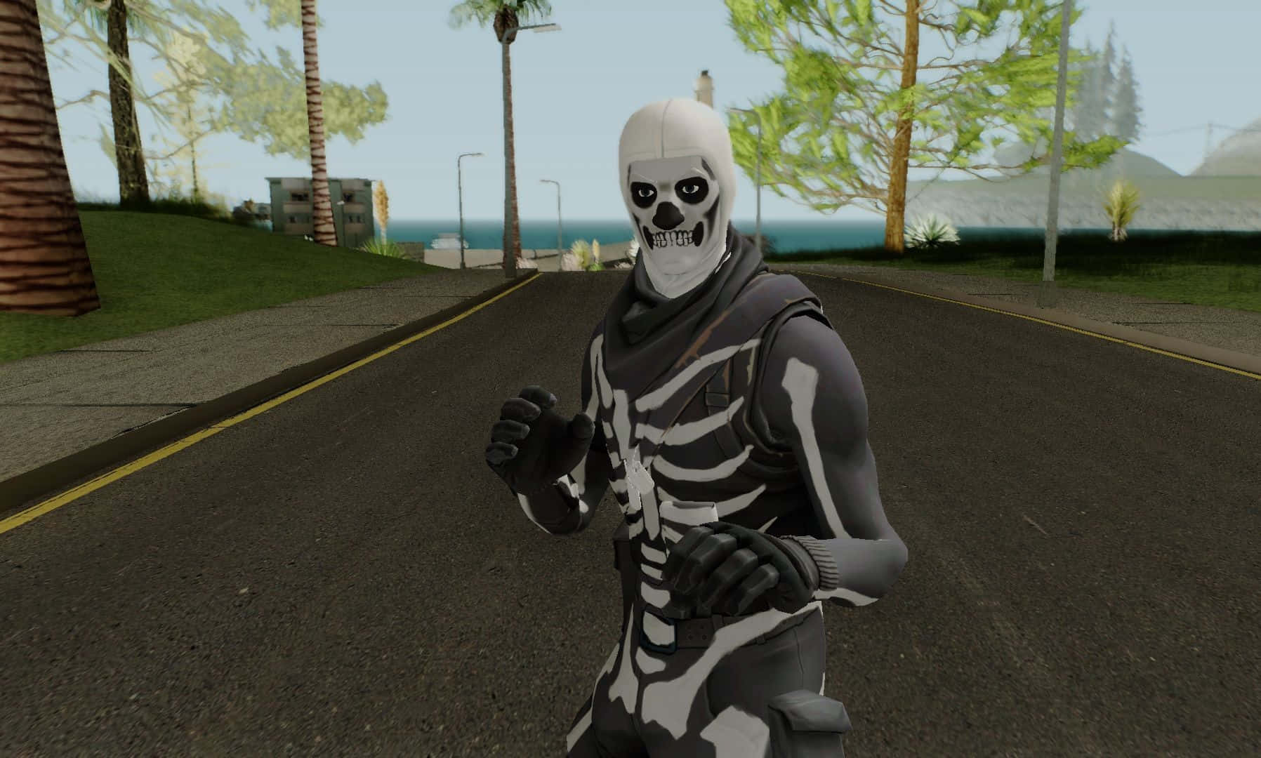 skeleton costume, gaming outfit, palm-lined road, HD Desktop Wallpaper