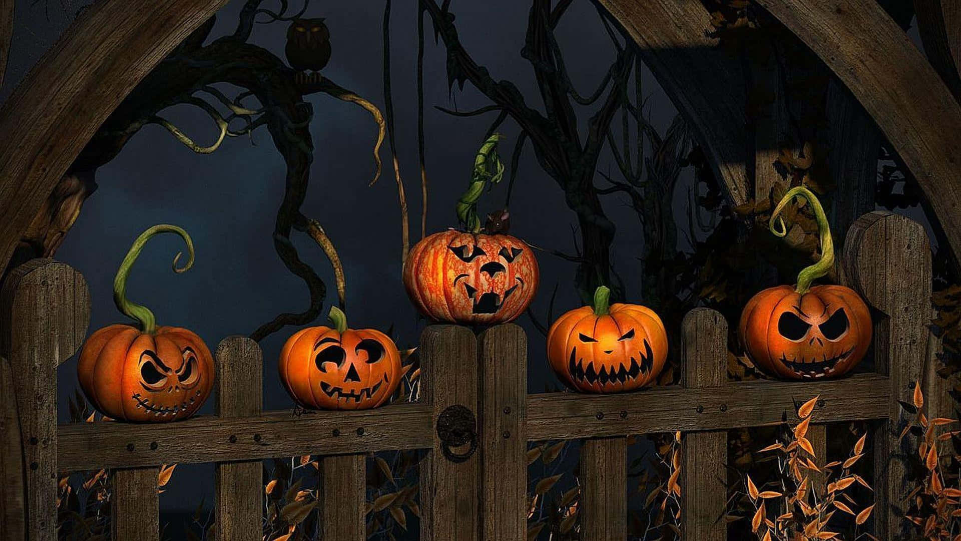 jack-o'-lanterns, wicked grins, weathered wooden fence, Full HD Desktop Wallpaper