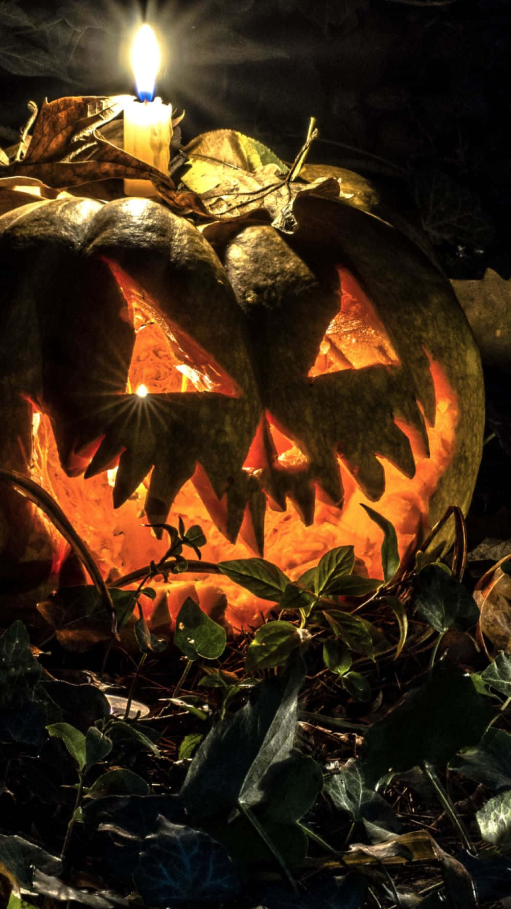 Halloween Pumpkin, glowing orange eyes, jagged teeth, HD Phone Wallpaper