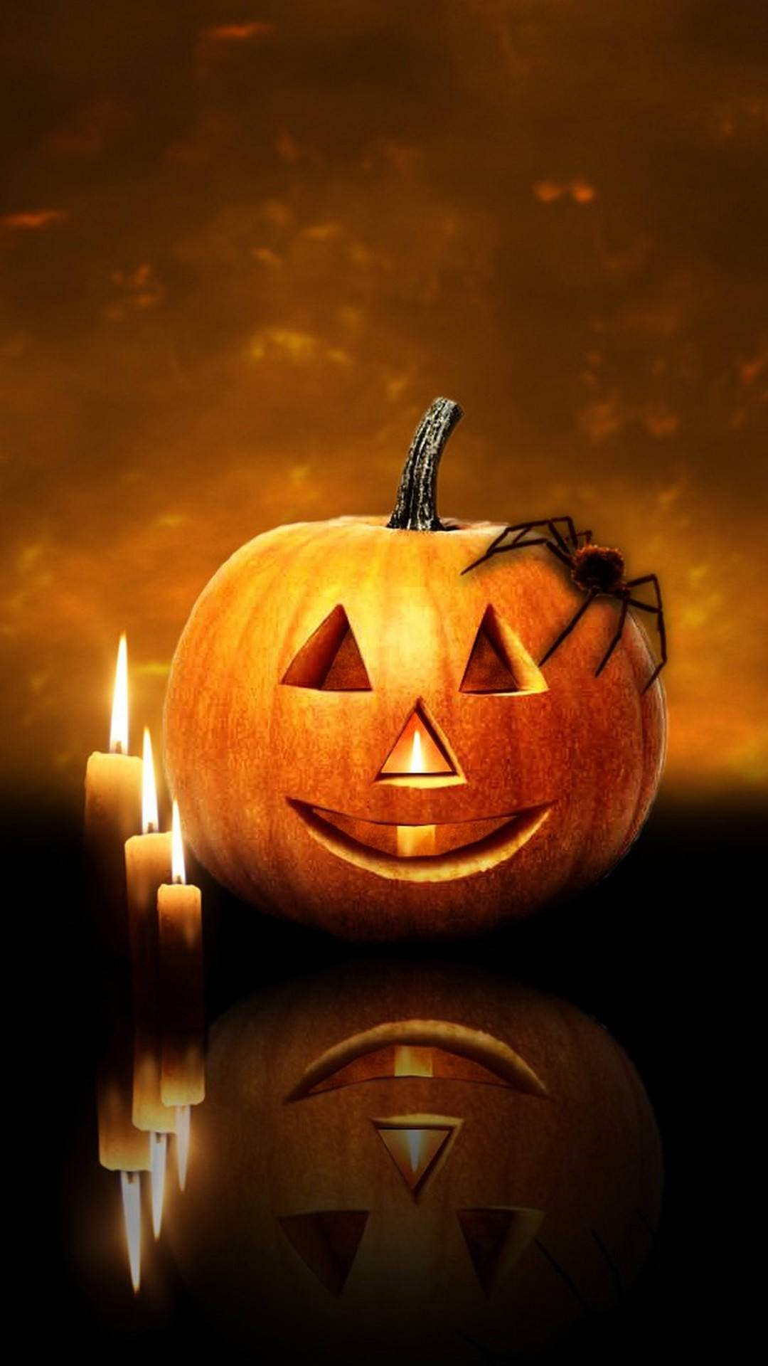 pumpkin spider, jack-o'-lantern, spider, Full HD Phone Wallpaper