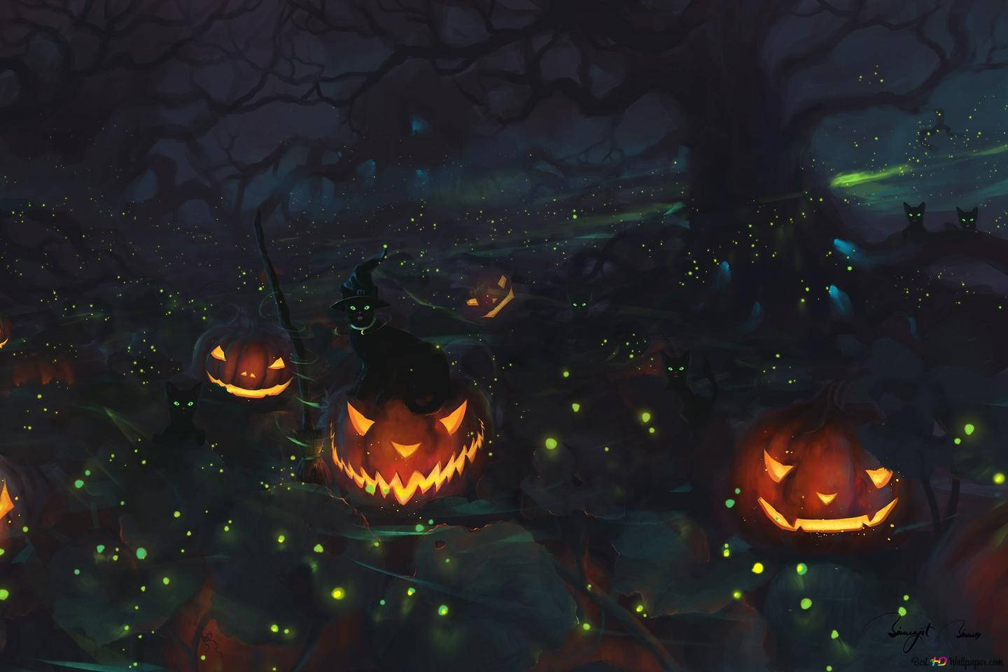 Halloween Pumpkin, jack-o-lanterns, dark forest, HD Desktop Wallpaper