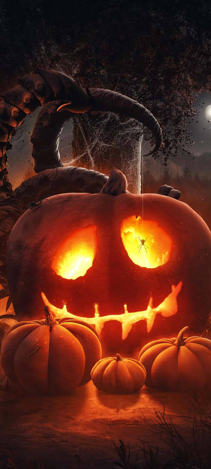 Halloween Pumpkin, jack-o'-lantern, spiderwebbed eyes, HD Phone Wallpaper