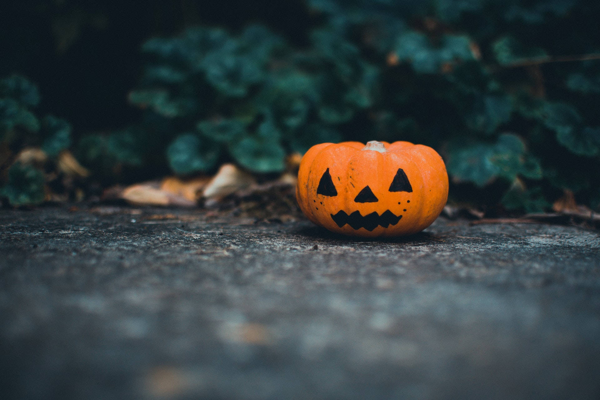 Halloween Pumpkin, orange jack-o'-lantern, black triangular eyes, Full HD Desktop Wallpaper