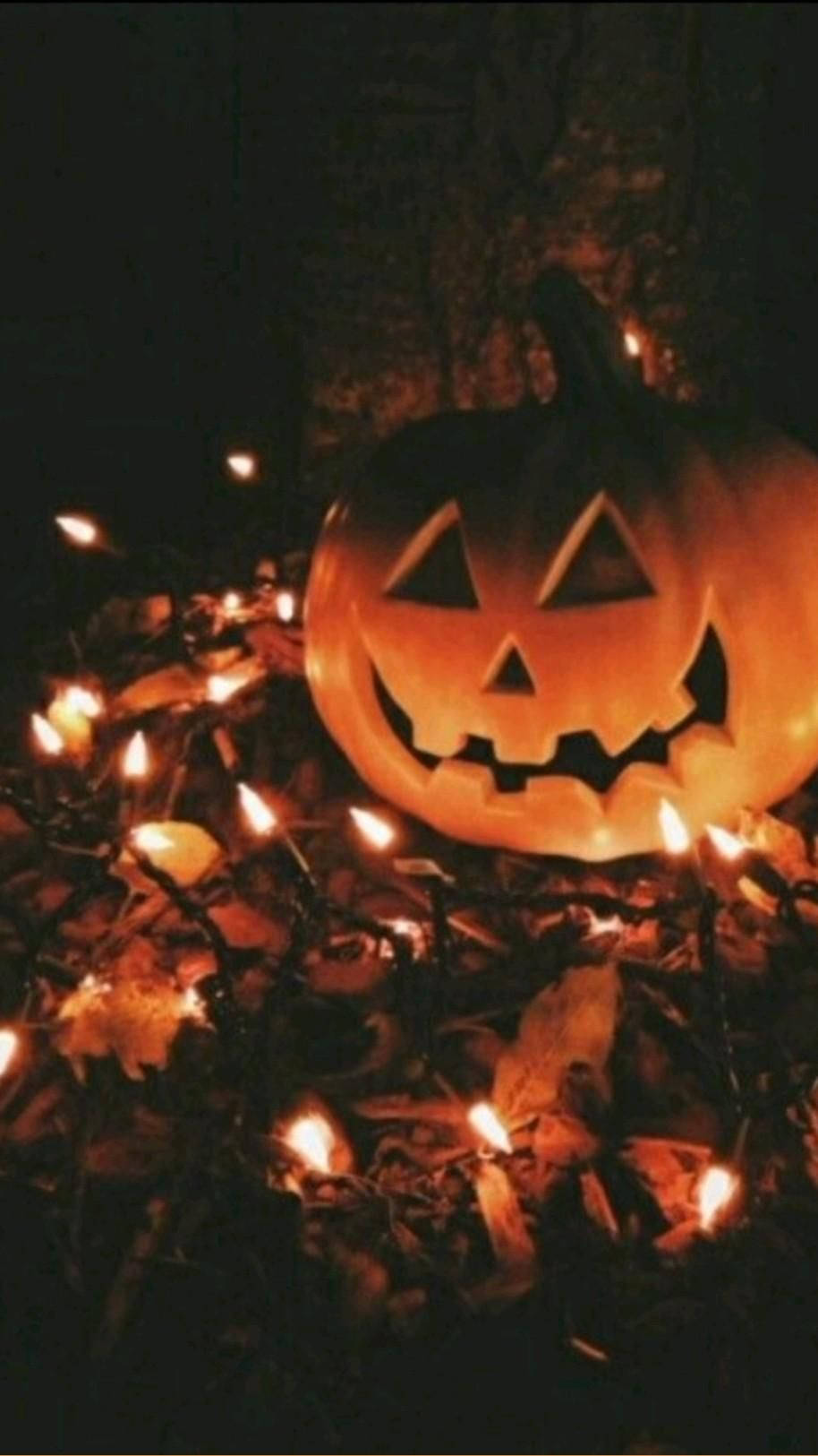 Halloween Pumpkin, jack-o'-lantern, twinkling fairy lights, HD Phone Wallpaper