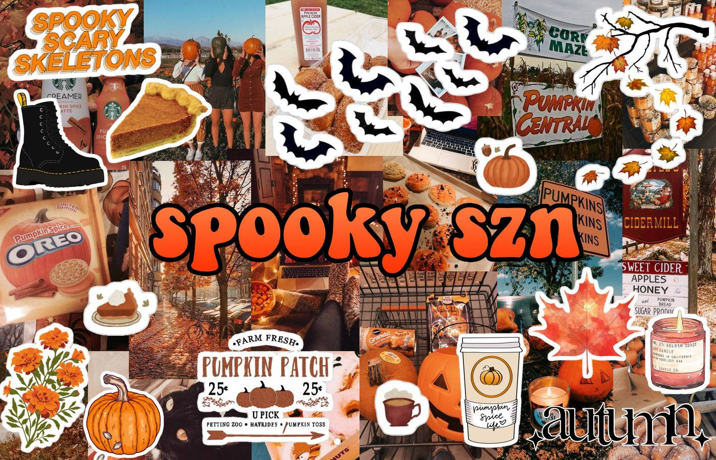 Halloween, pumpkins, bats, HD Desktop Wallpaper