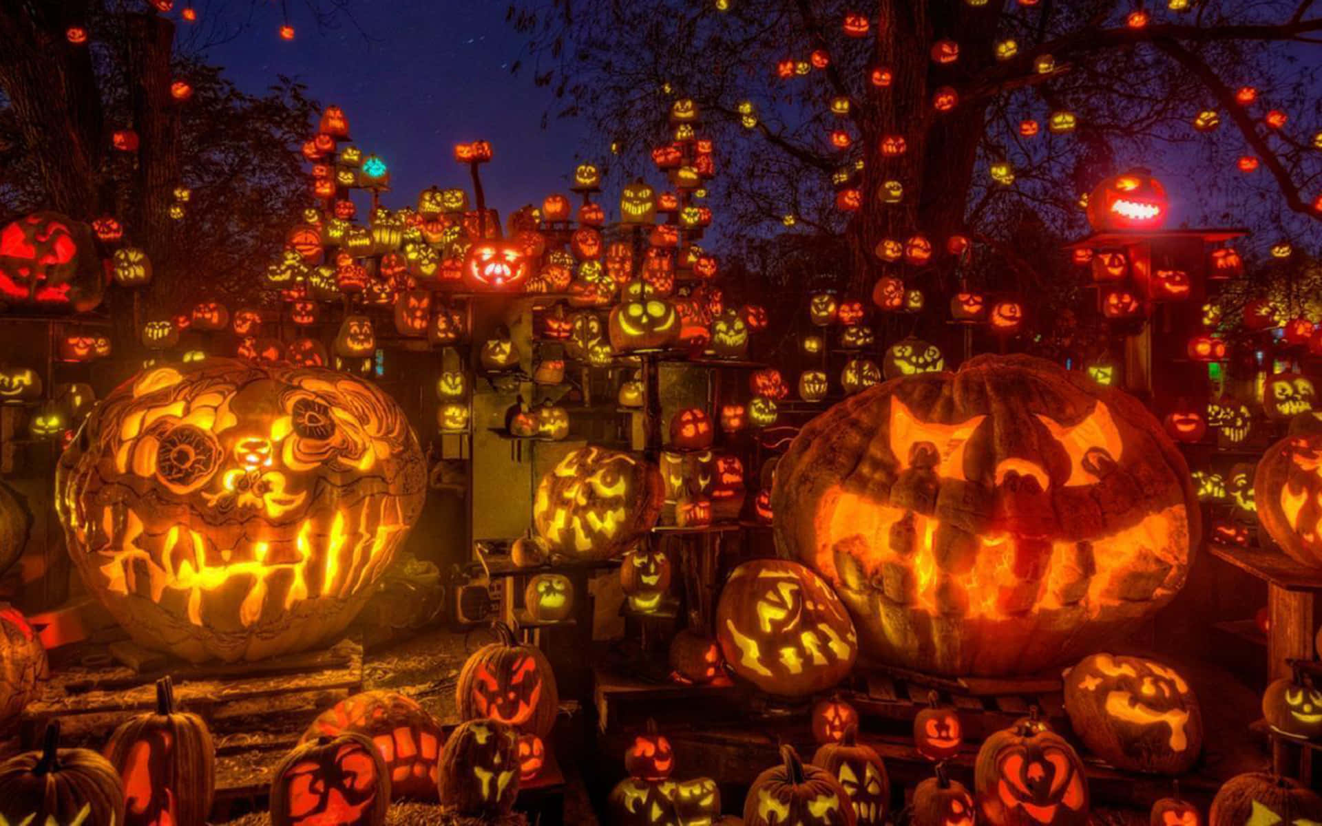 orange pumpkin, glowing jack-o'-lanterns, intricate carvings, Full HD Desktop Wallpaper