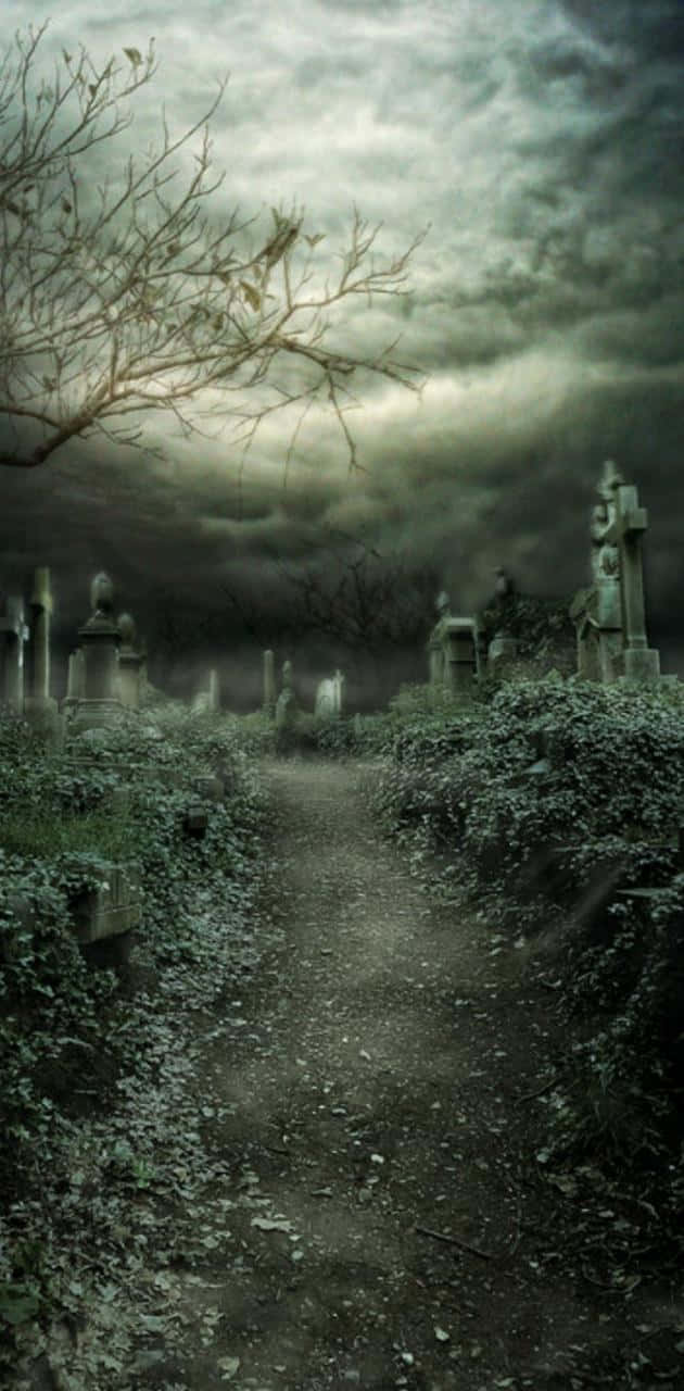 Halloween graveyard, misty overgrown cemetery path, weathered tombstones, HD Phone Wallpaper