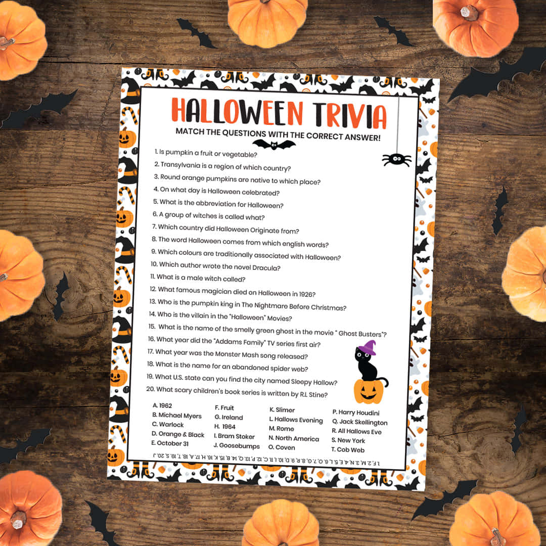 Halloween, pumpkins, bats, SD Desktop Wallpaper