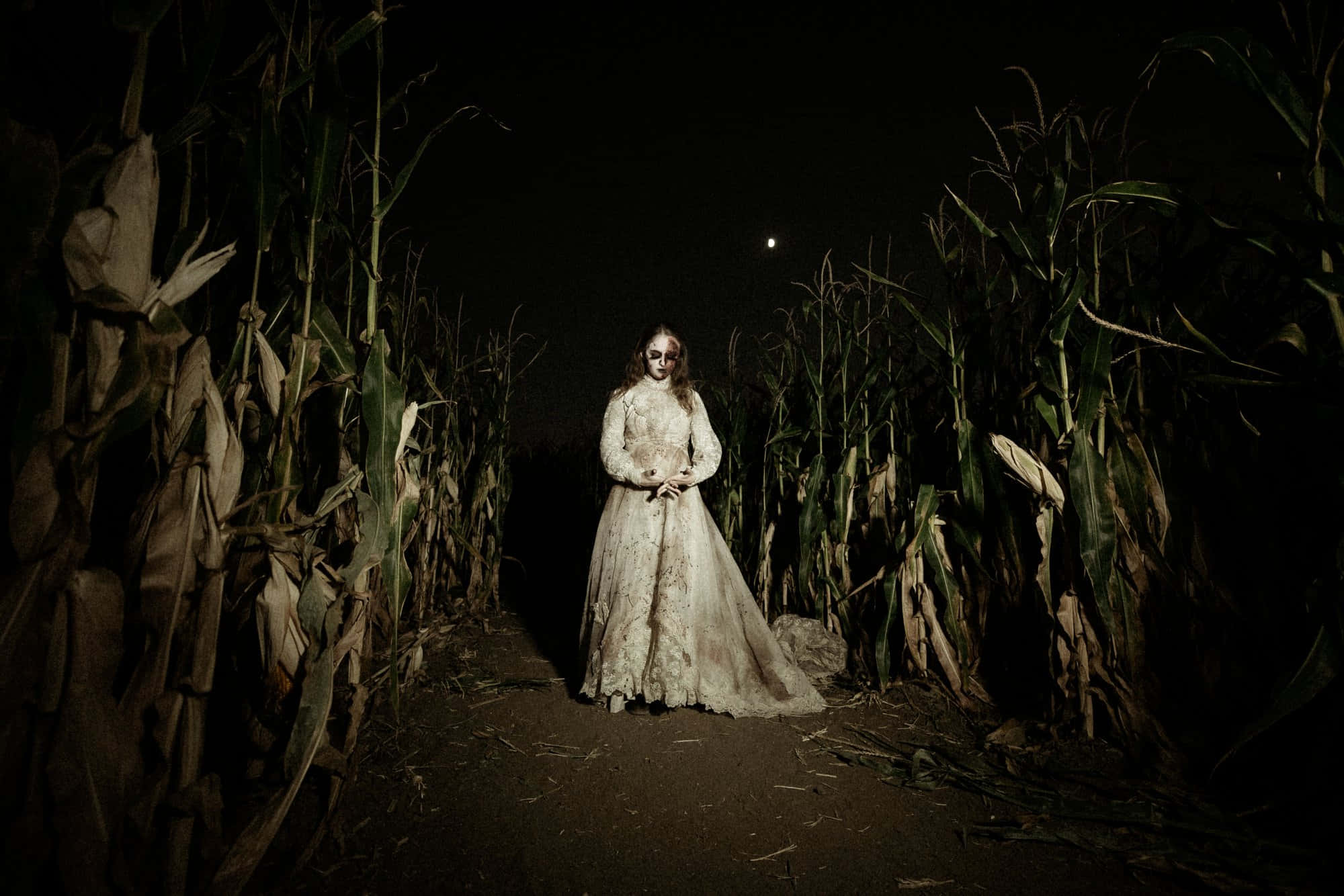 haunted corn mazes, pale woman, tattered wedding gown, Full HD Desktop Wallpaper