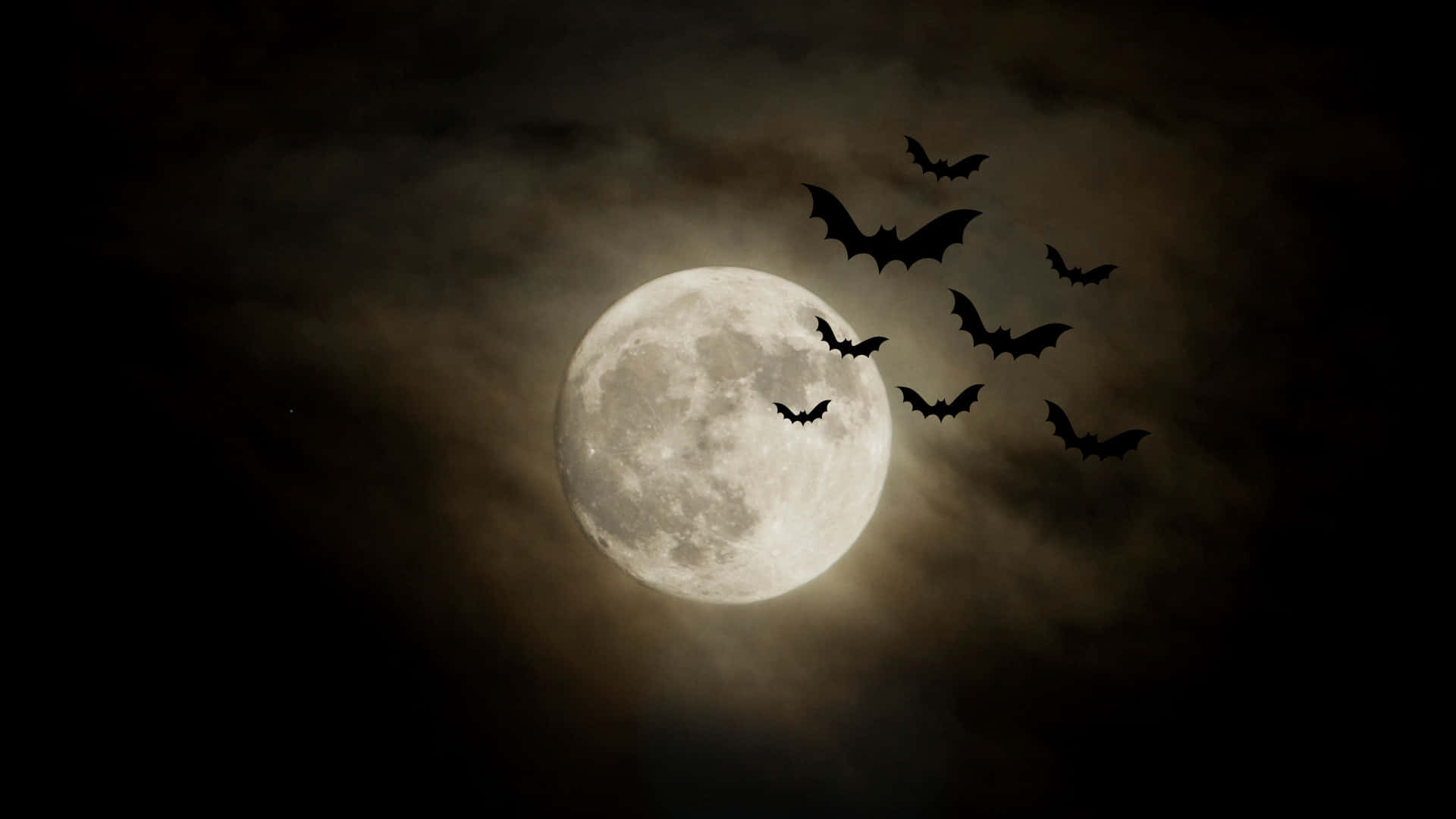 full moon, bats, night sky, Full HD Desktop Wallpaper