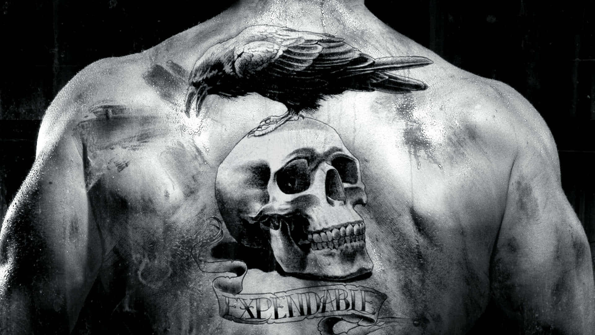 crow, skull, word expendable, Full HD Desktop Wallpaper