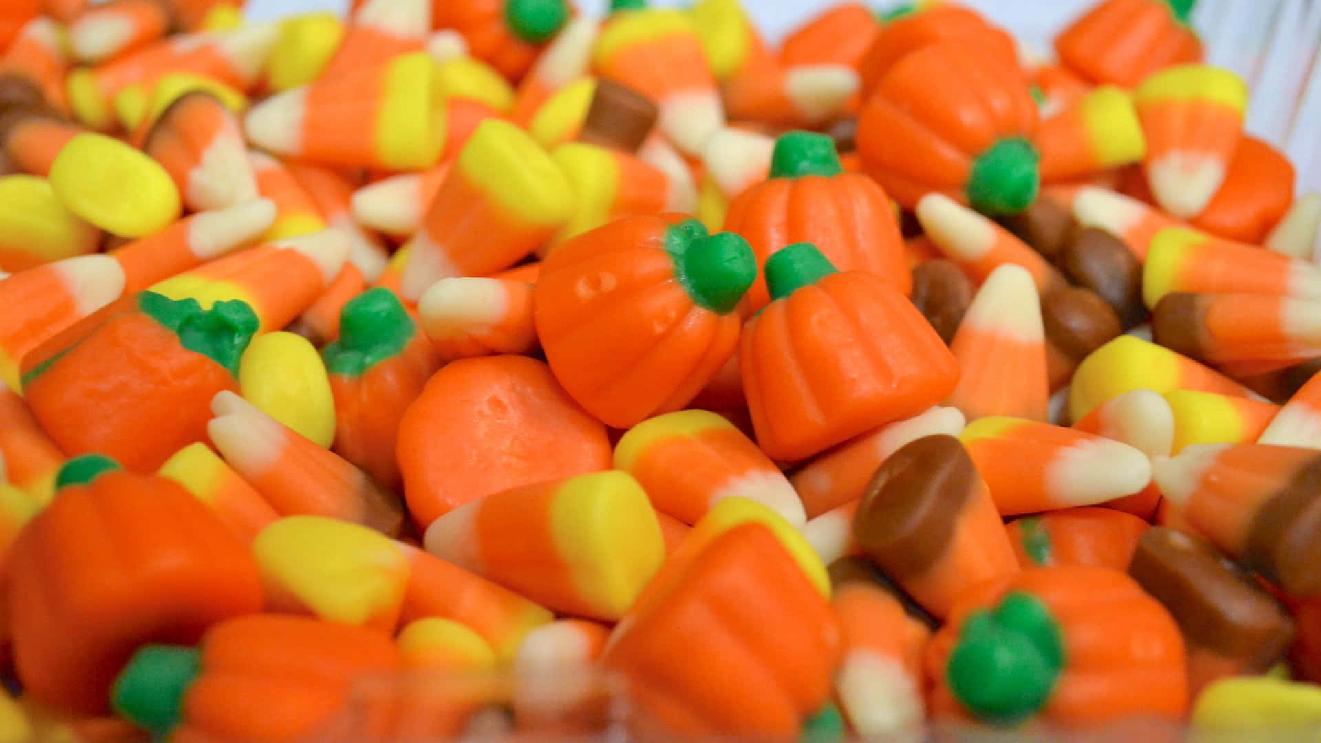 Halloween Treats, candy corn, orange pumpkins, Full HD Desktop Wallpaper
