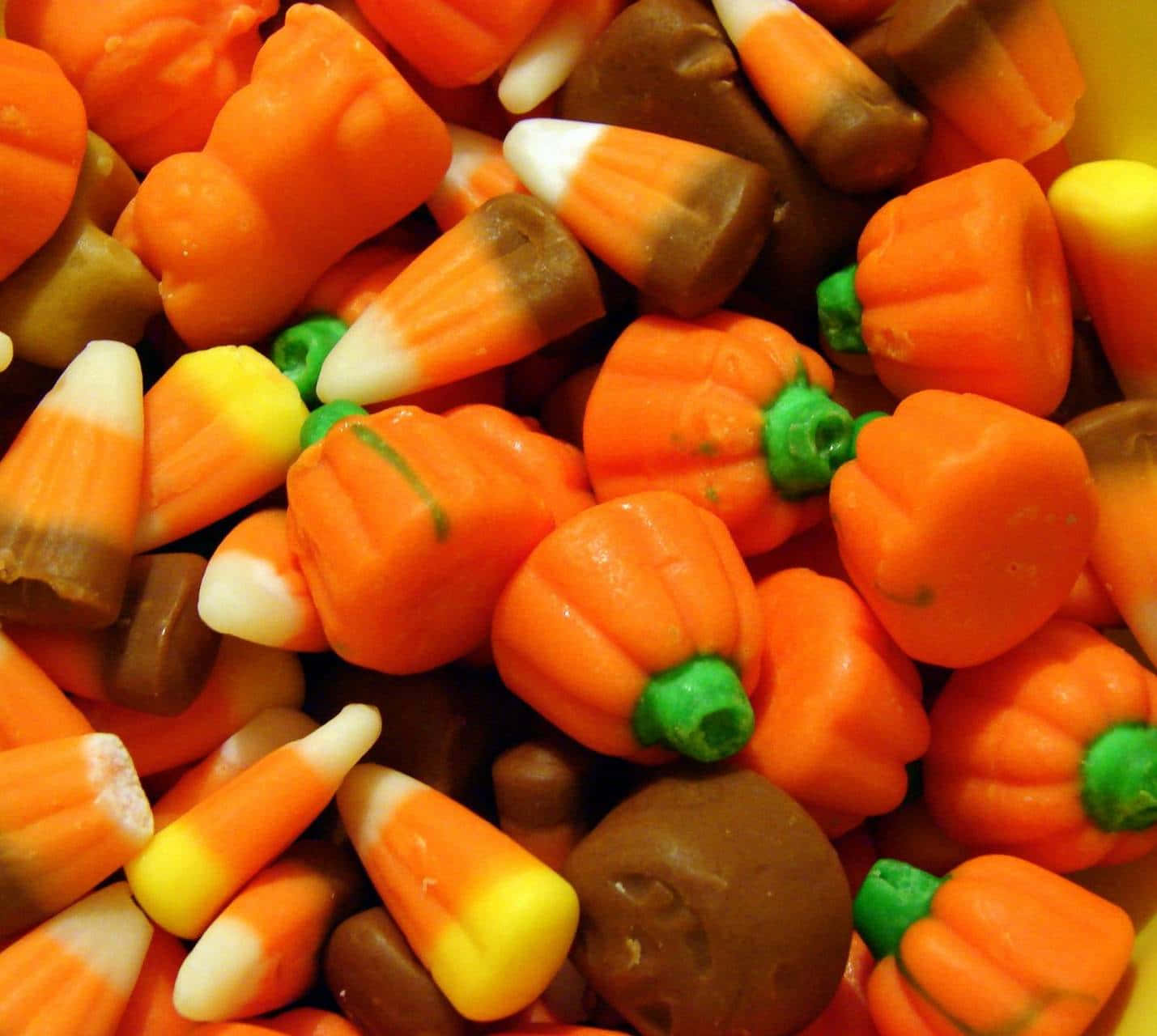 Halloween Treats, orange pumpkins, green stems, HD Desktop Wallpaper