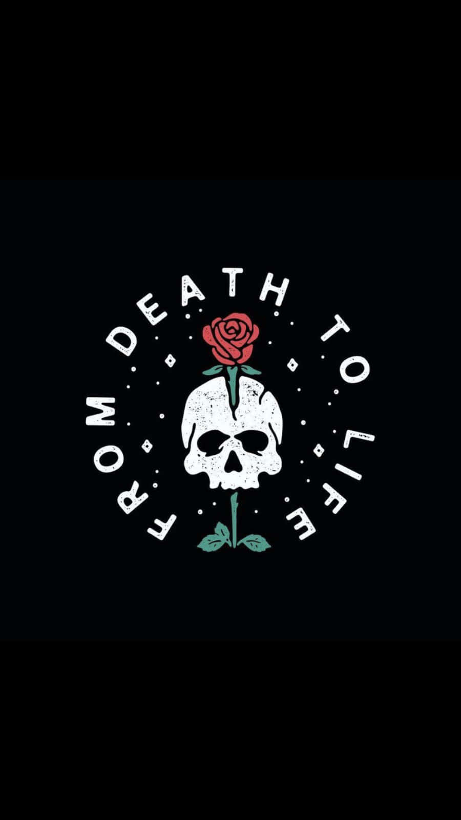Halloween, skull, red rose, HD Phone Wallpaper