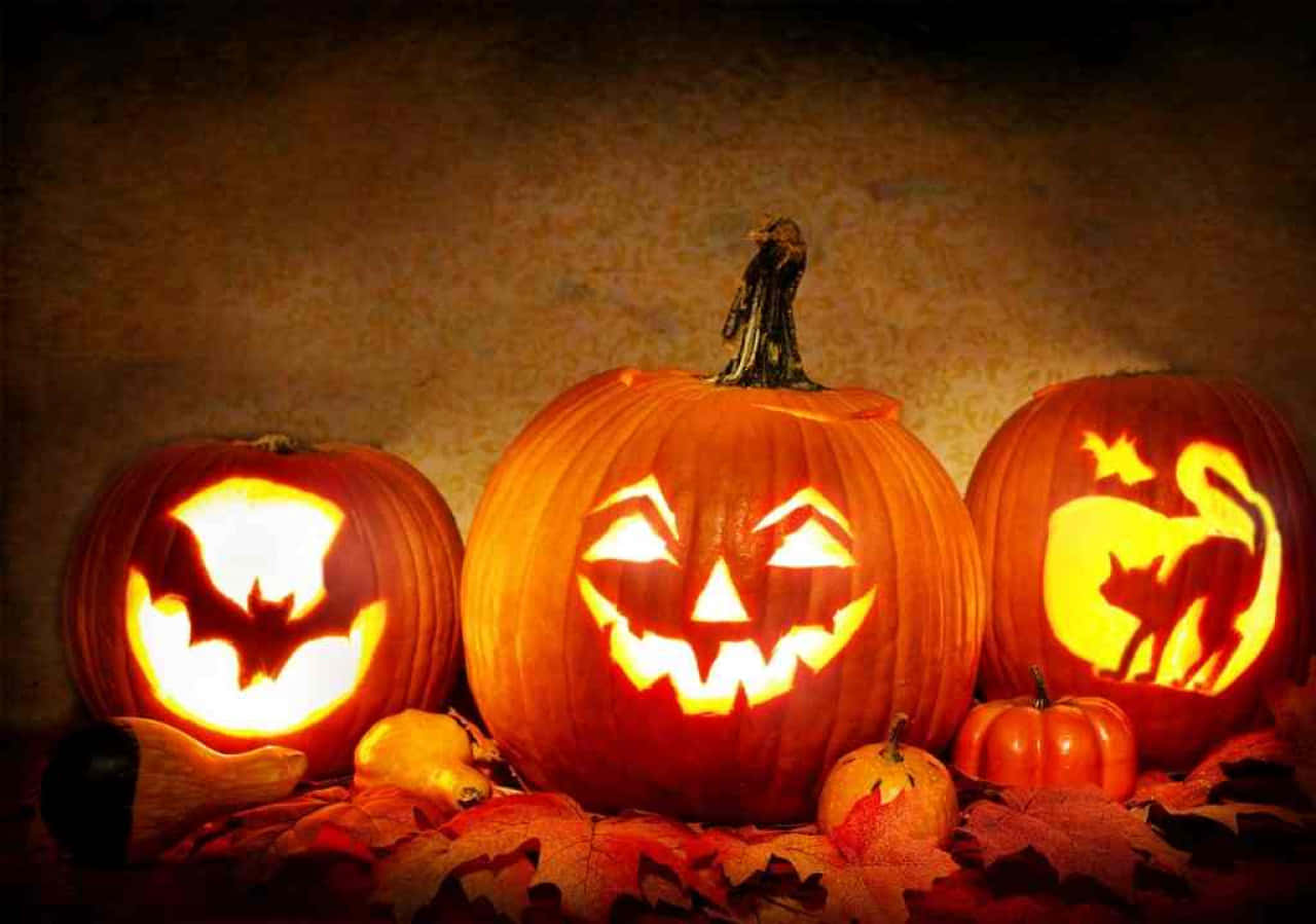 jack-o'-lanterns, bat cat faces, grinning faces, HD Desktop Wallpaper