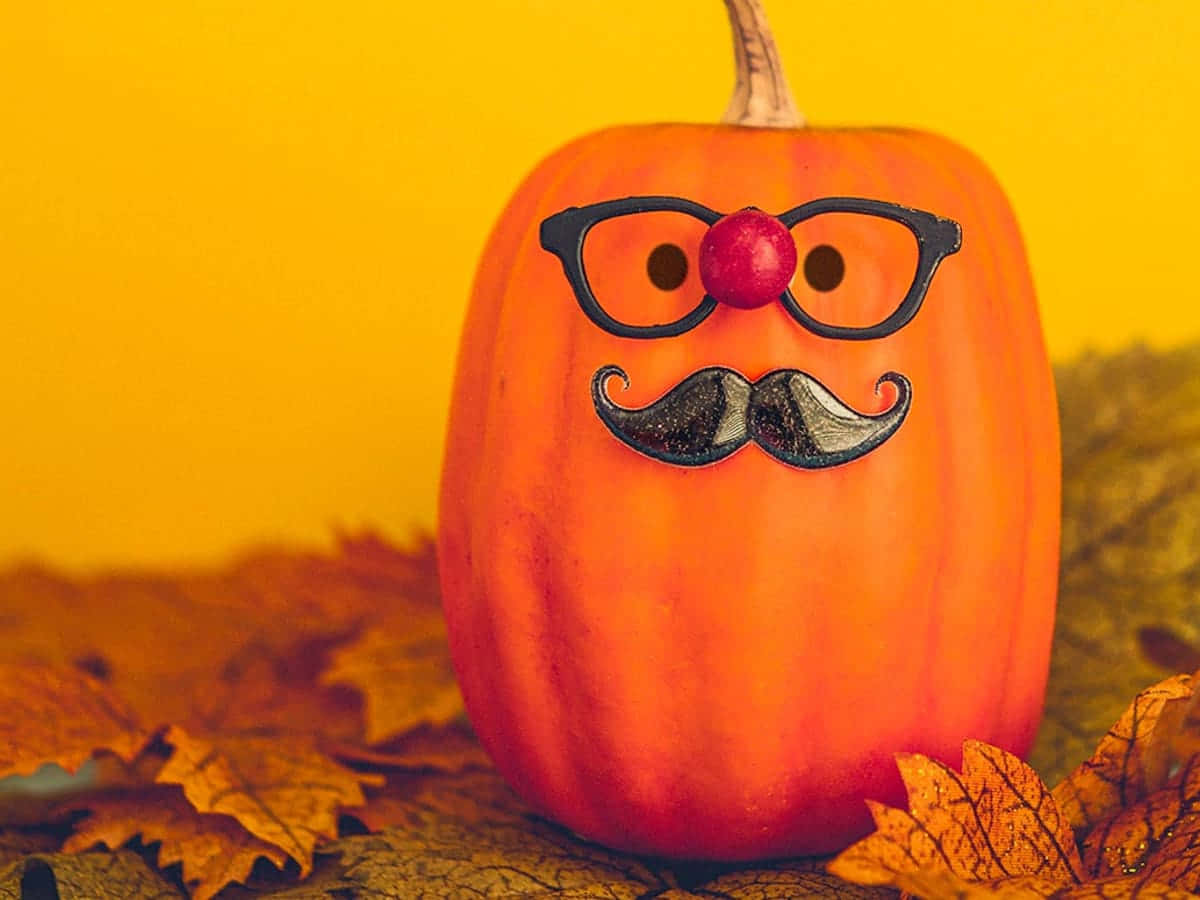pumpkin, black-rimmed glasses, red nose, SD Desktop Wallpaper