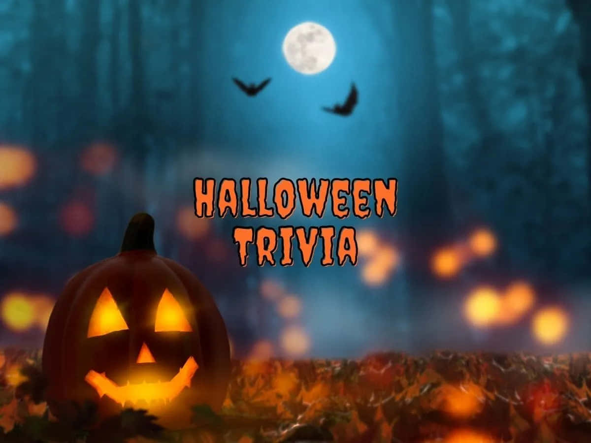 Halloween Trivia, jack-o'-lantern, autumn leaves, SD Desktop Wallpaper
