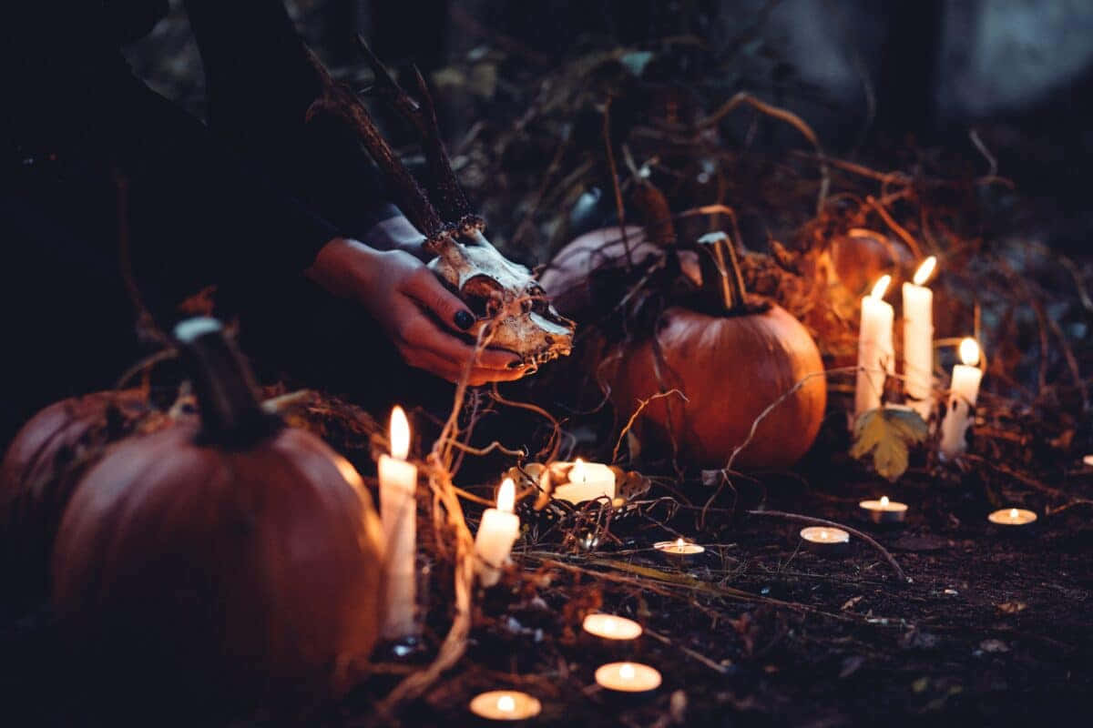 deer skull, glowing candles, pumpkins, SD Desktop Wallpaper