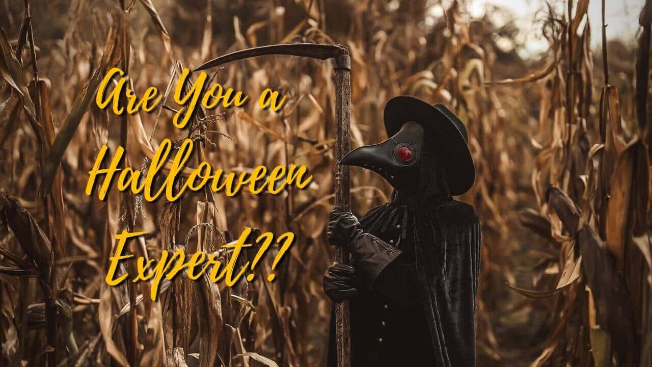 plague doctor, black robe, bird mask, HD Desktop Wallpaper