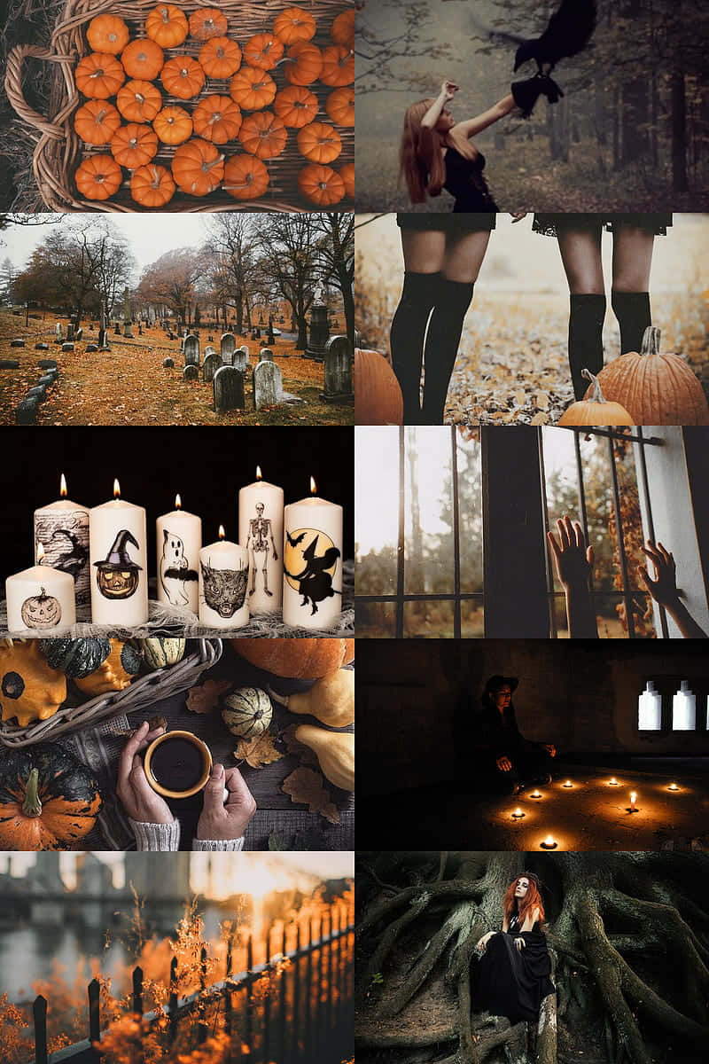 Halloween Witch Aesthetic, pumpkins, candles, SD Phone Wallpaper