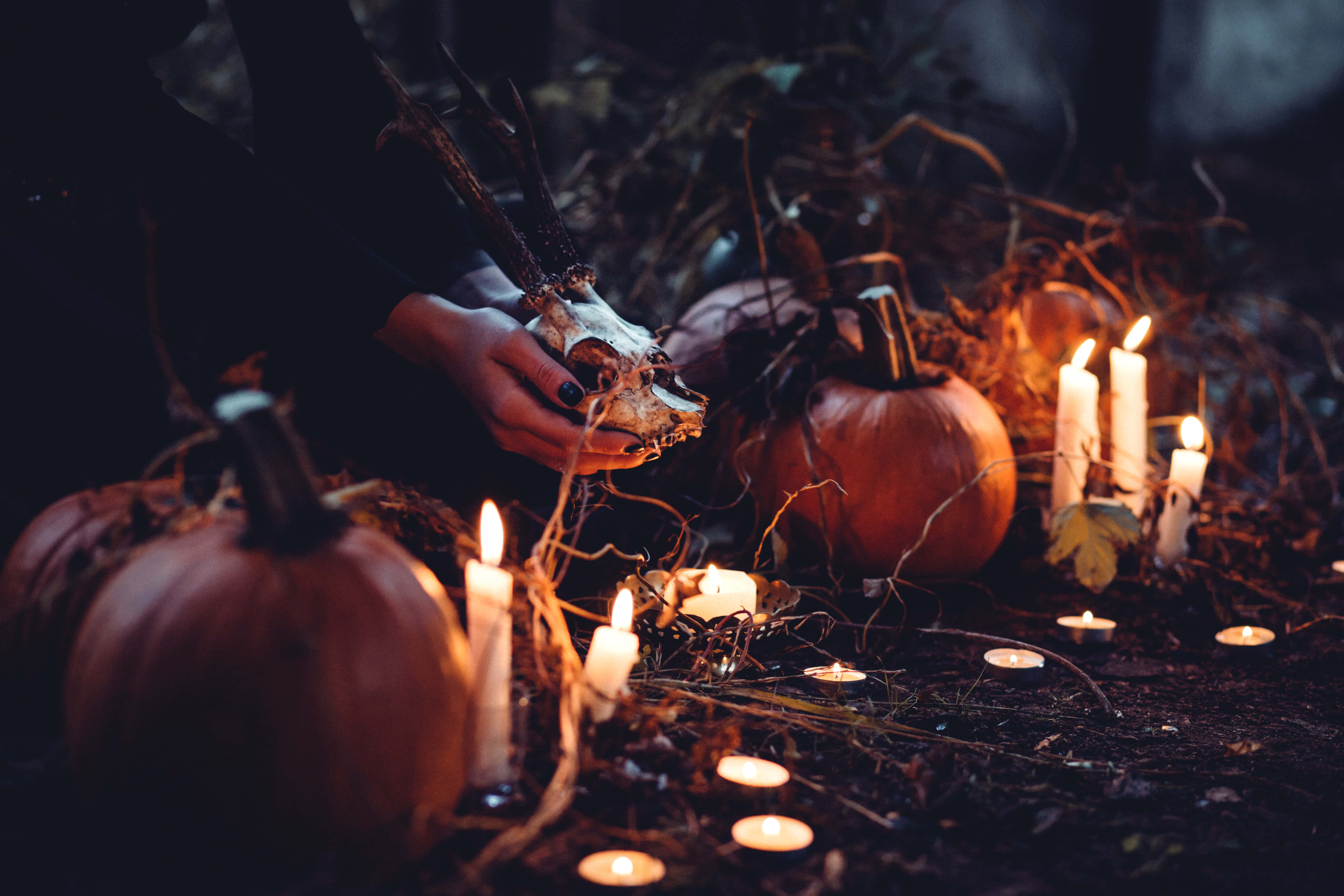Halloween Witch Aesthetic, deer skull, glowing candles, 5K Desktop Wallpaper