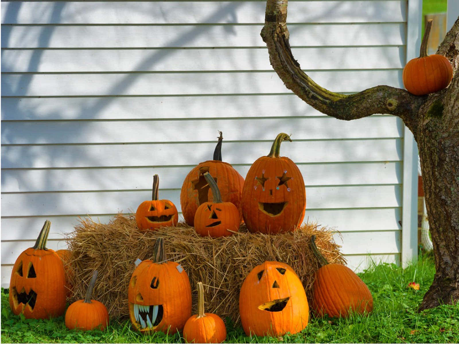 jack-o'-lanterns, hay bale, gnarled tree trunk, HD Desktop Wallpaper