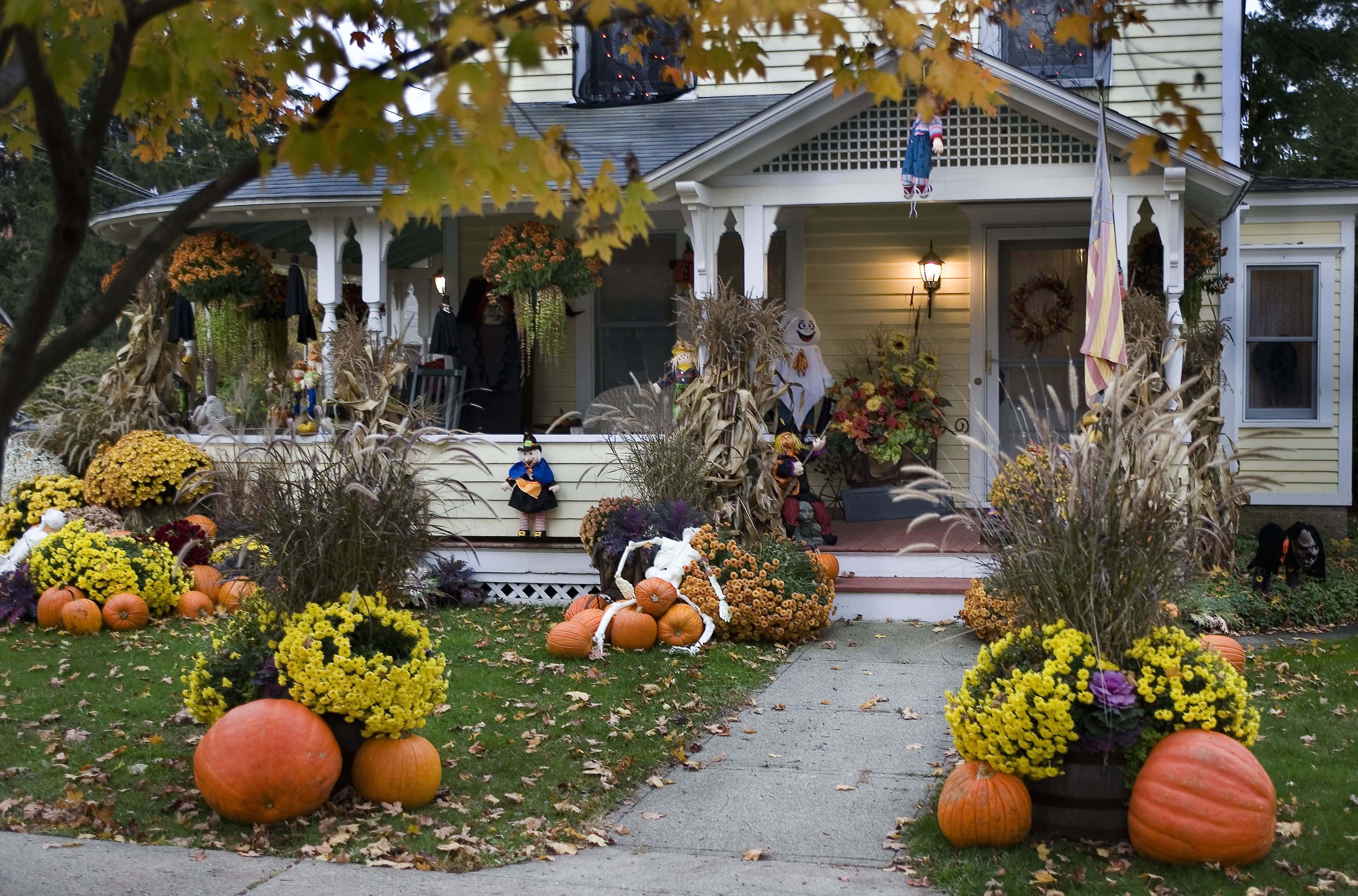 Halloween Yard Decorations, pumpkins, mums, 2K Desktop Wallpaper