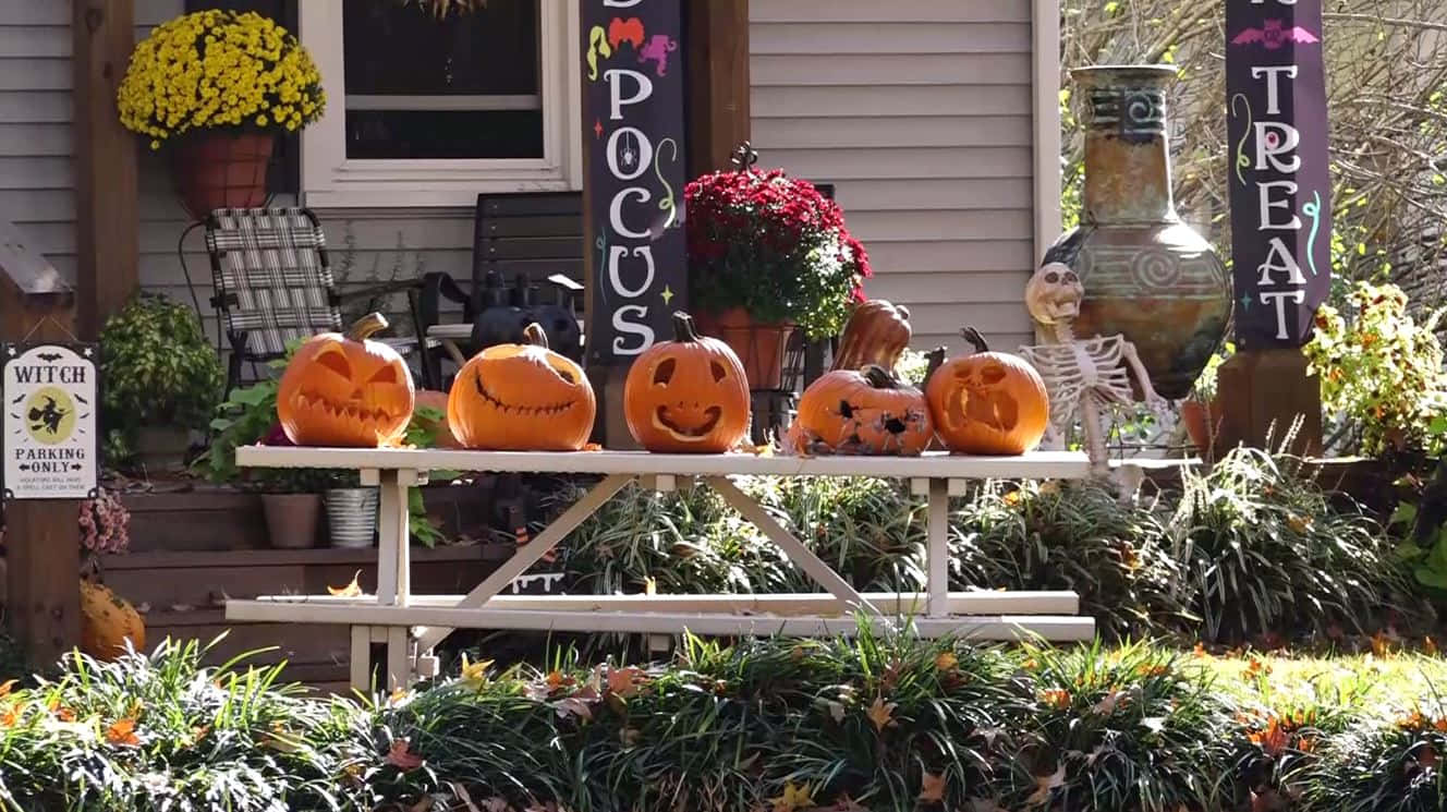 jack-o'-lanterns, picnic table, front yard, HD Desktop Wallpaper