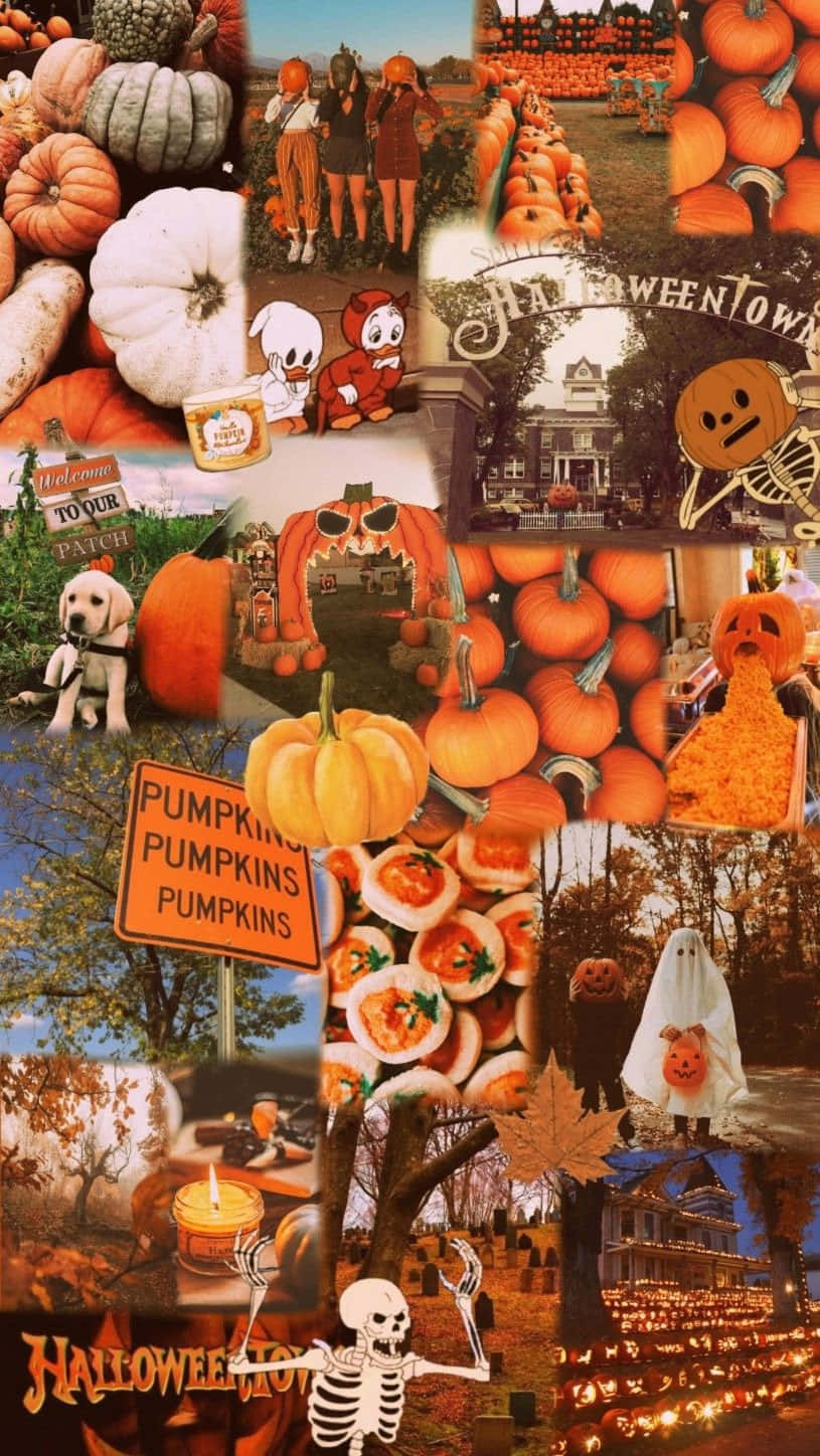 Halloween, pumpkins, ghosts, HD Phone Wallpaper