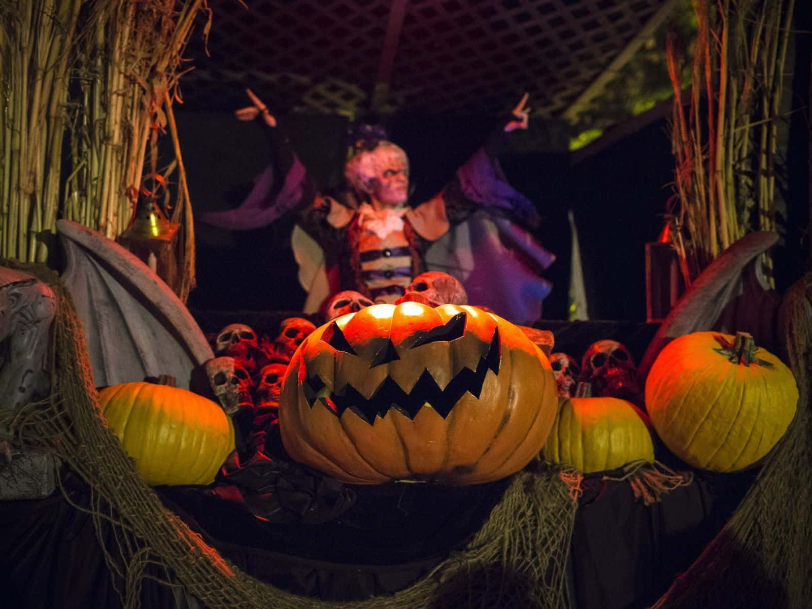 Halloweentown, jack-o'-lantern, skulls, HD Desktop Wallpaper
