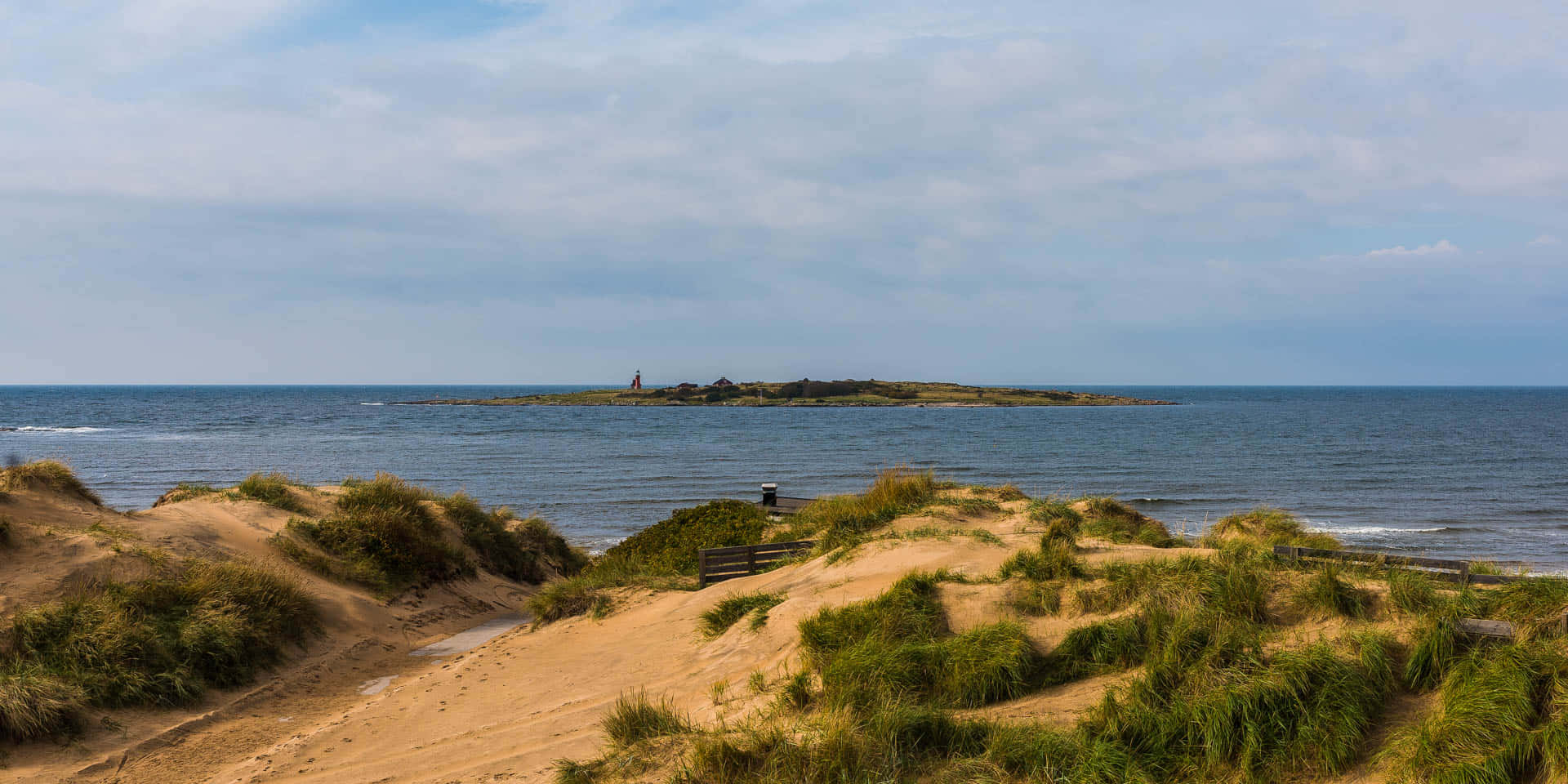 Halmstad, coastal dunes, green grasses, Full HD Desktop Wallpaper
