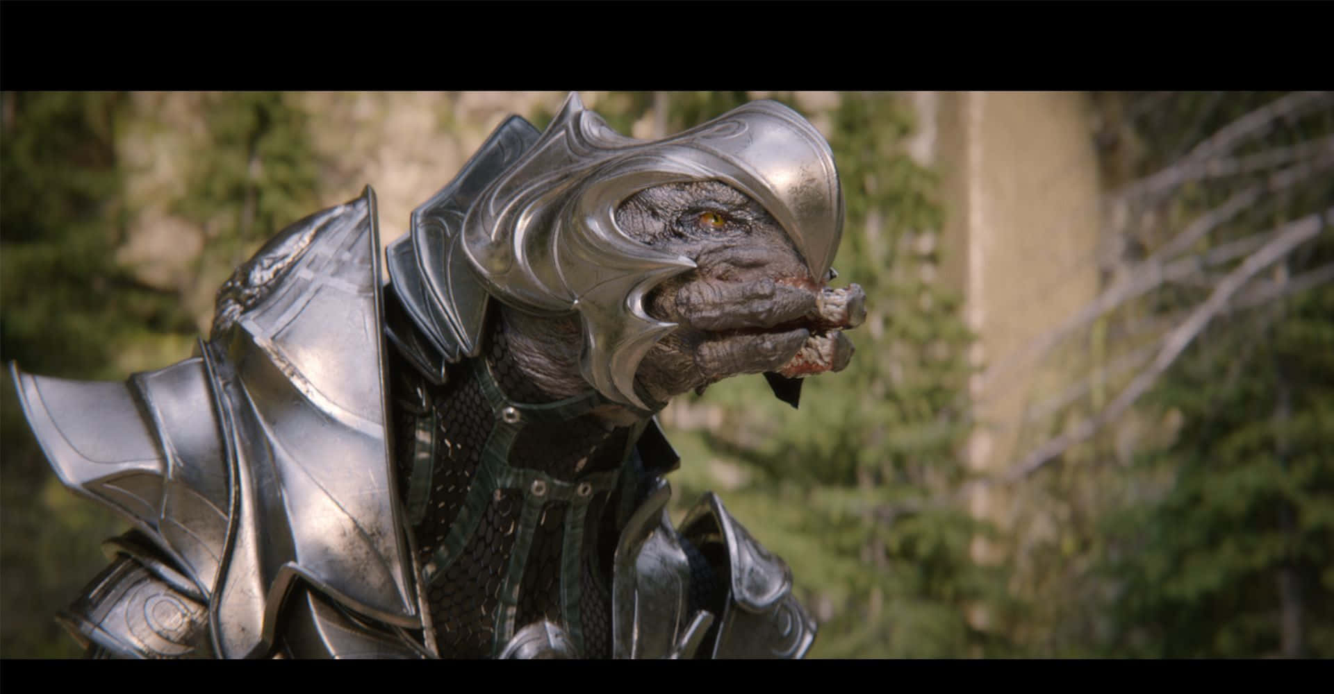 Halo Arbiter, reptilian warrior, ornate silver armor, Full HD Desktop Wallpaper