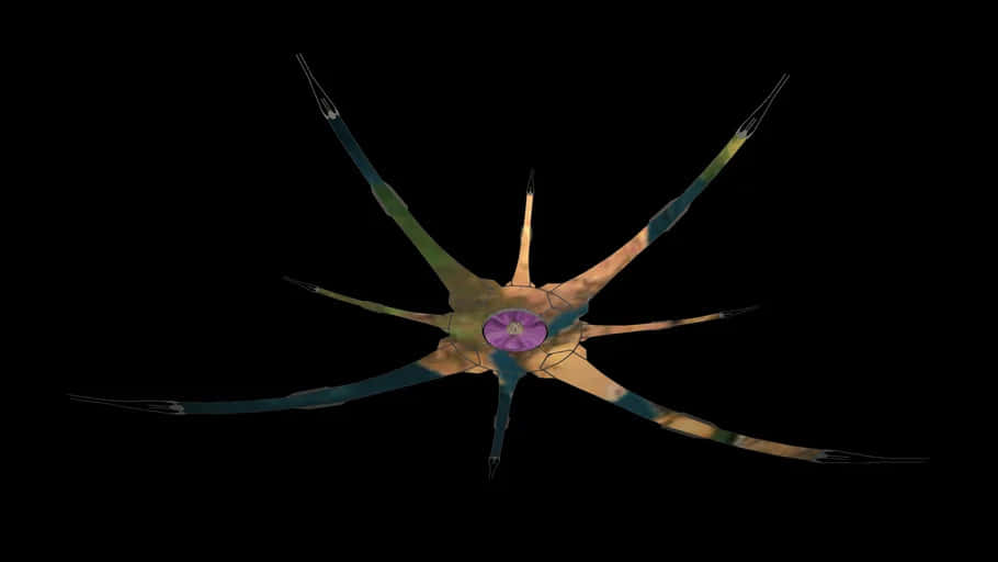 Halo Ark, purple center, black void, SD Desktop Wallpaper