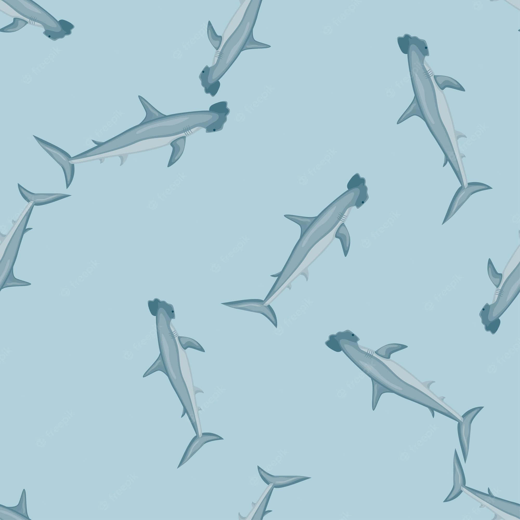 hammerhead shark, blue background, seamless pattern, Full HD Desktop Wallpaper