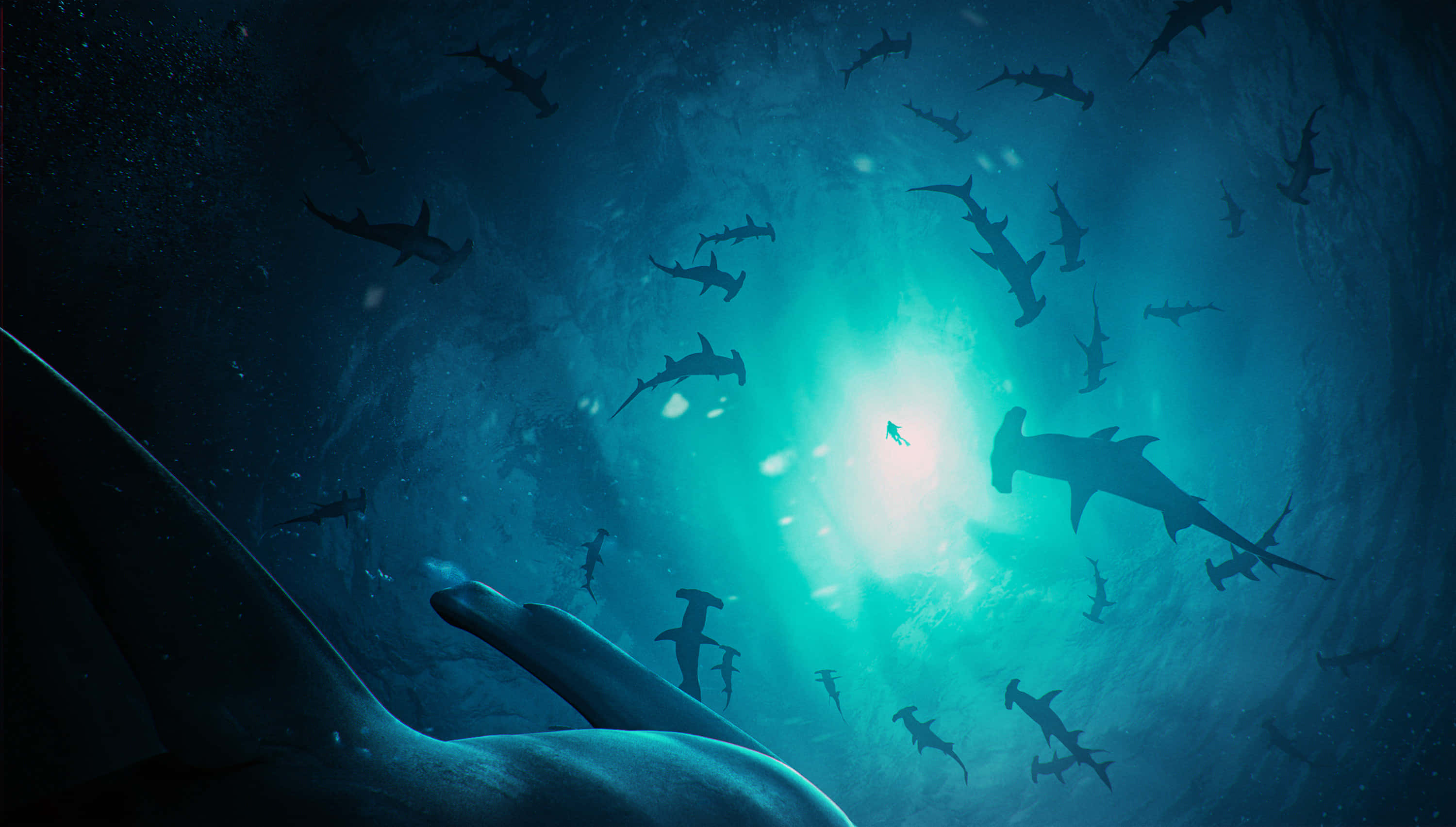 hammerhead shark, Carcharhiniform Elasmobranch, deep blue ocean waters, 2K Desktop Wallpaper
