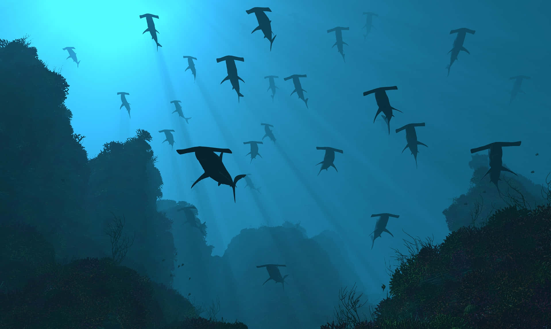 Hammerhead Shark, sunlit blue waters, rocky underwater cliffs, HD Desktop Wallpaper