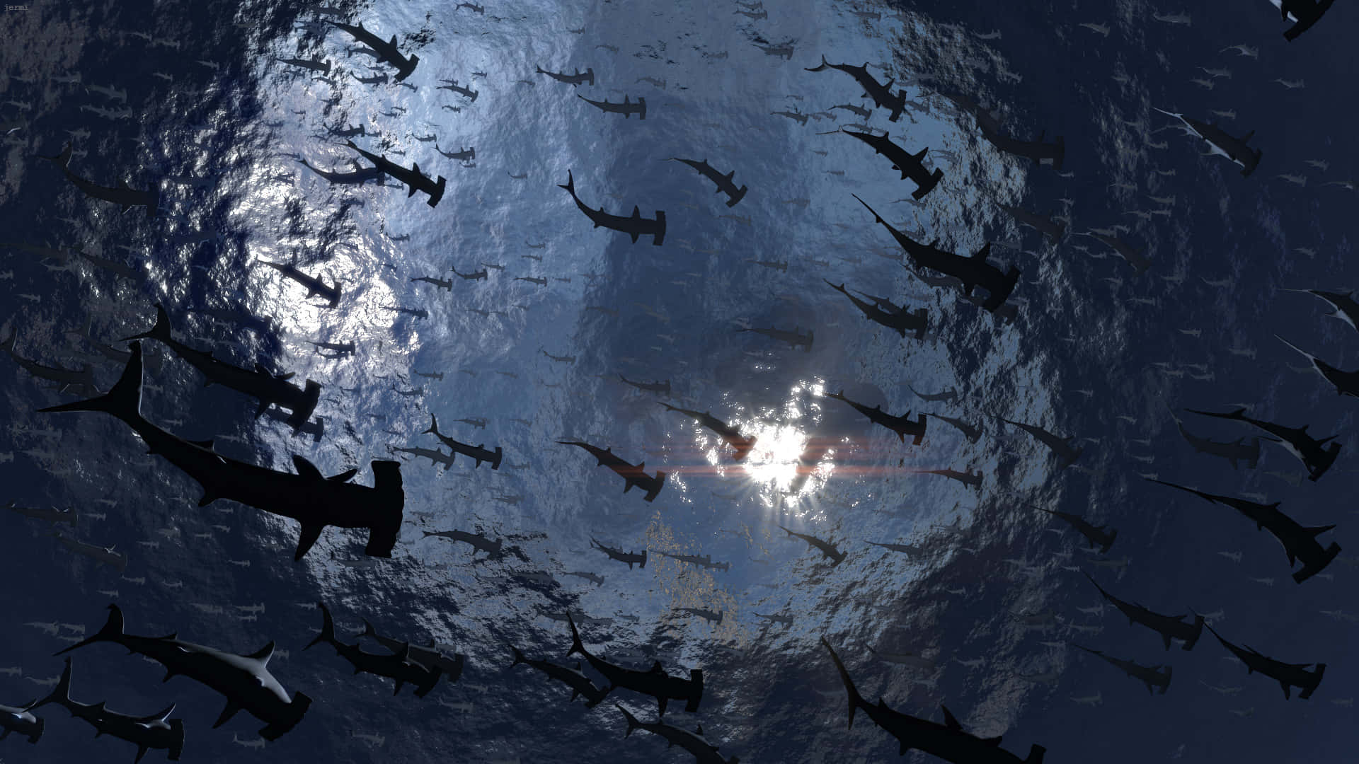 hammerhead shark, sunlit ocean, light filters through the surface, Full HD Desktop Wallpaper