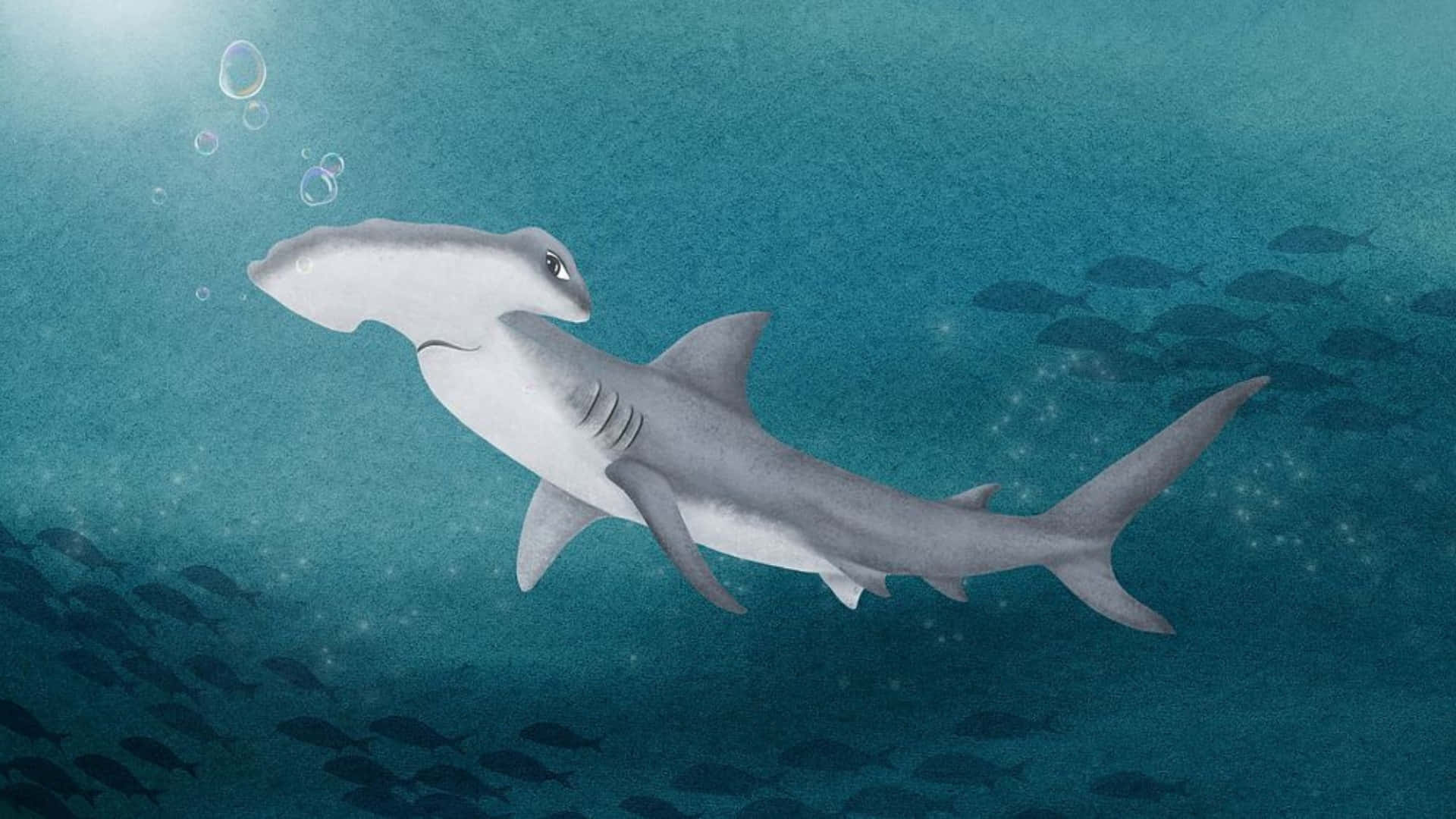 hammerhead shark, turquoise water, bubbles, Full HD Desktop Wallpaper
