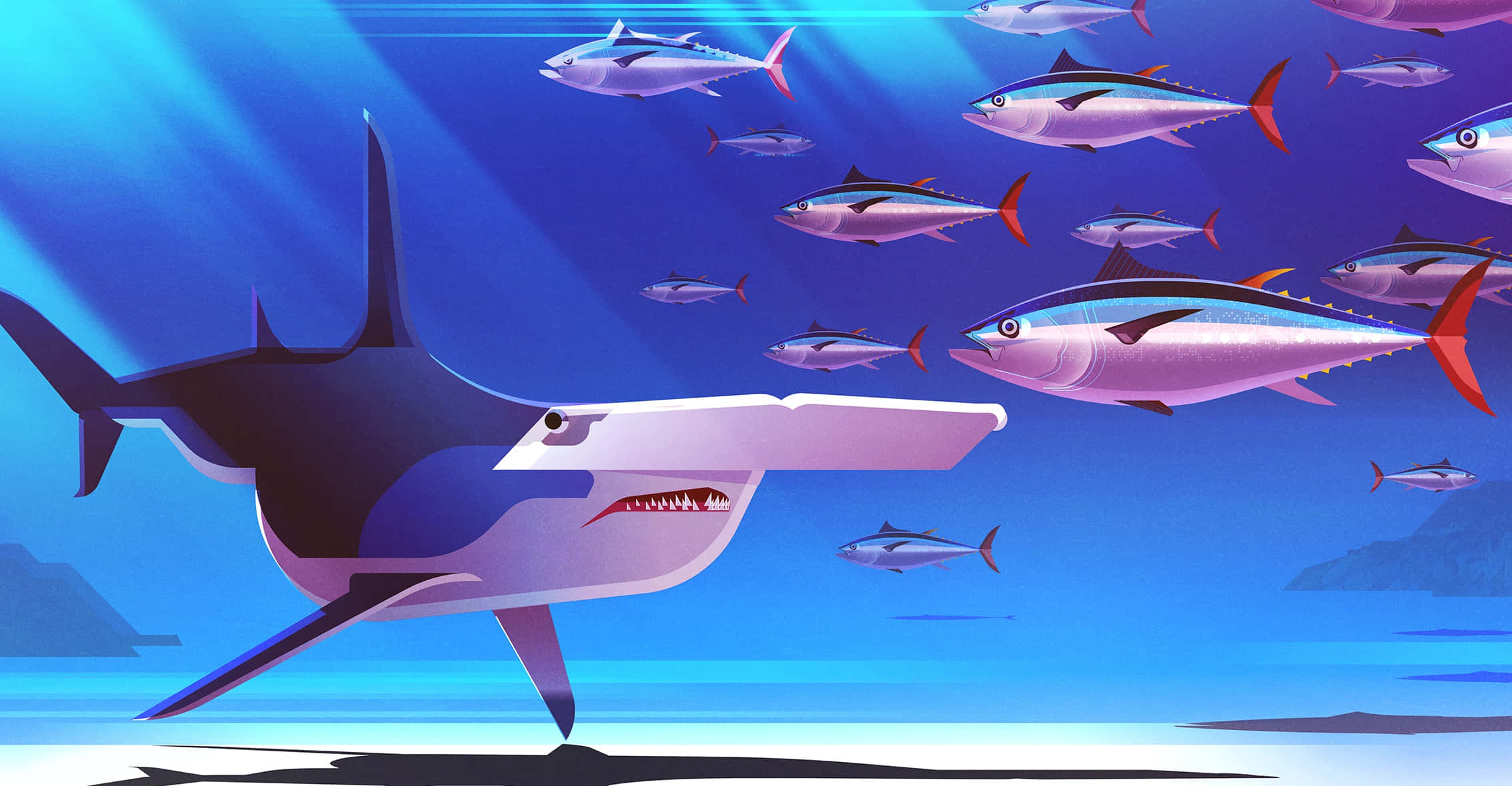 hammerhead shark, vibrant blue ocean waters, schools of tuna fish, Full HD Desktop Wallpaper
