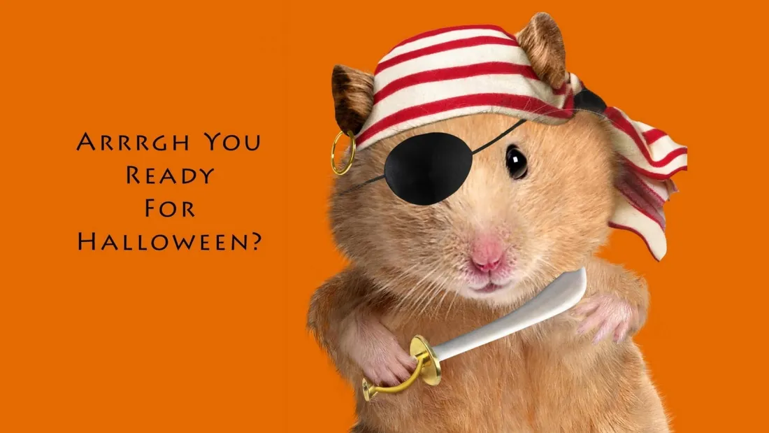 Hamster Meme